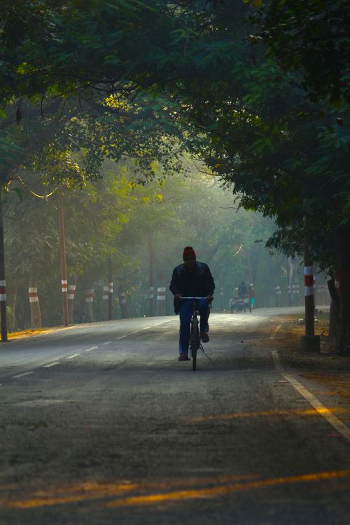 Free A cyclist travels down a misty road surrounded by greenery in India. Stock Photo