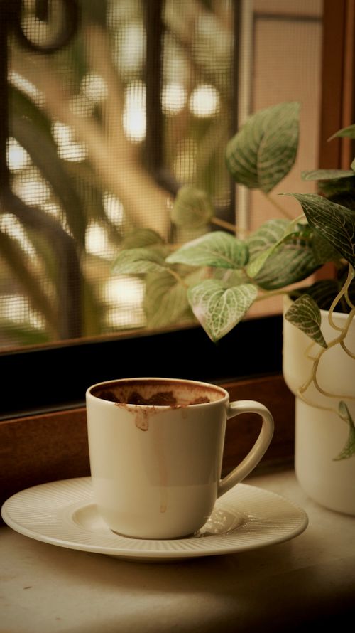 4.000+ Kaffeetasse Bilder und Fotos · Kostenlos Downloaden · Pexels Stock-Fotos
