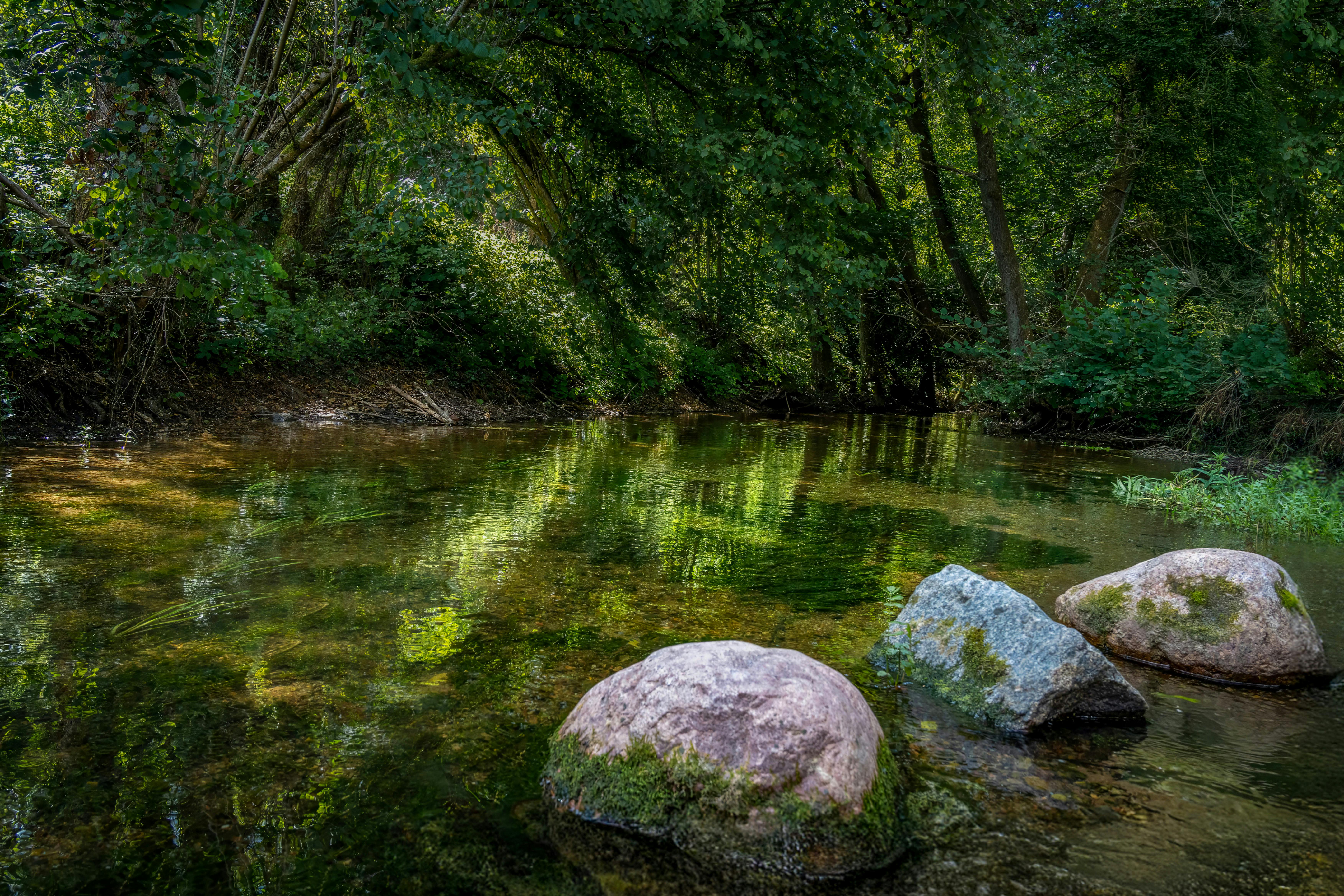 A tranquil forest brook with clear water reflecting lush greenery and moss-covered rocks.