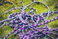 Climbing rope