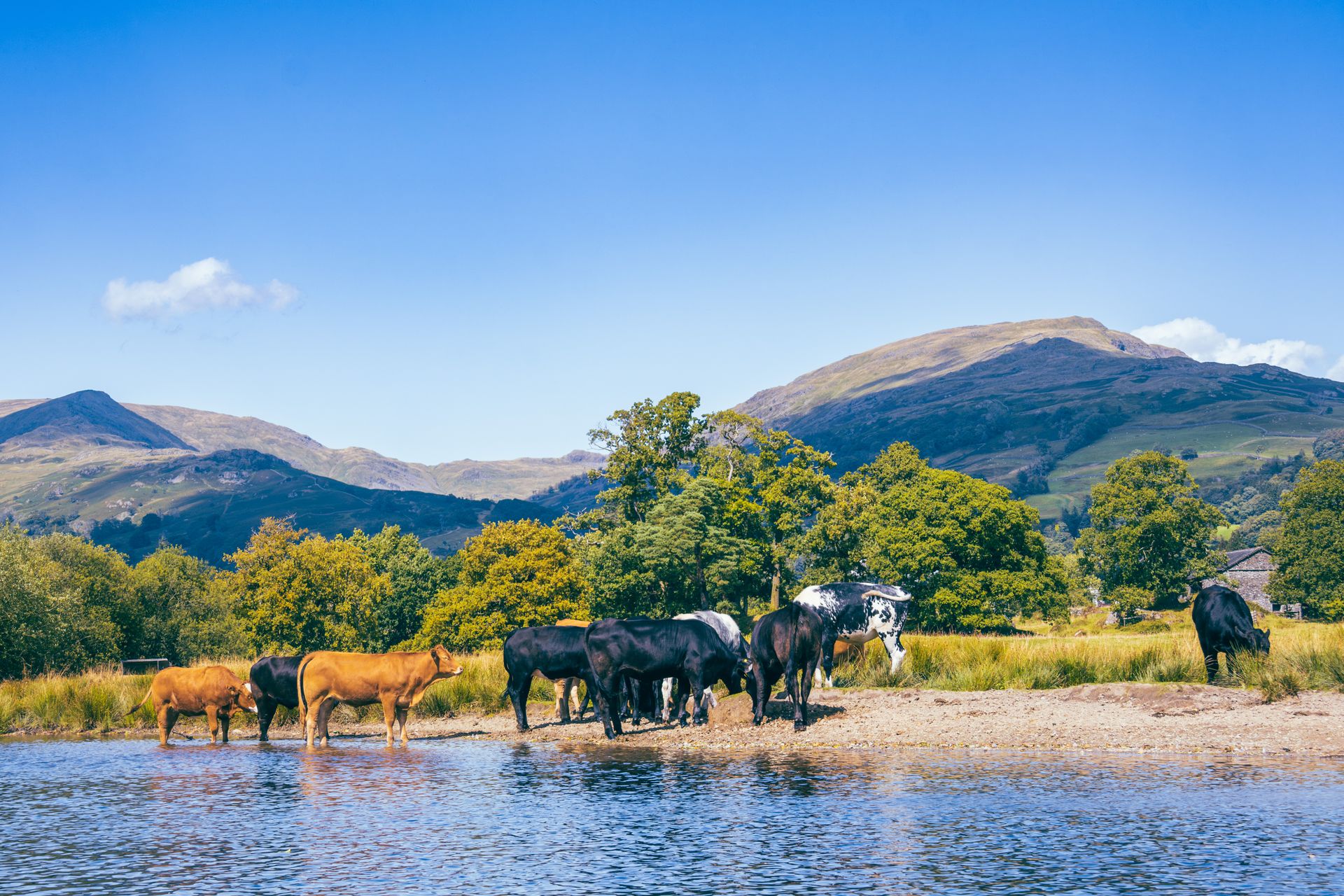 Lake District