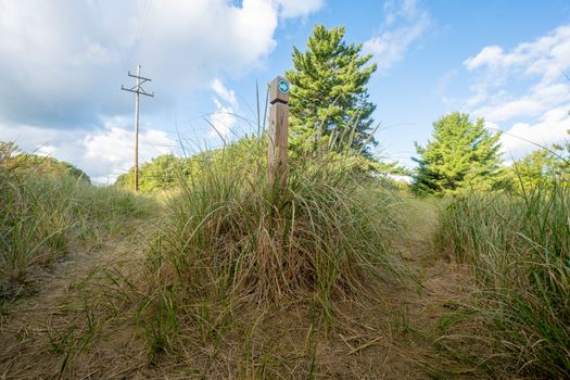 Dune Succession Trail near Indiana Dunes