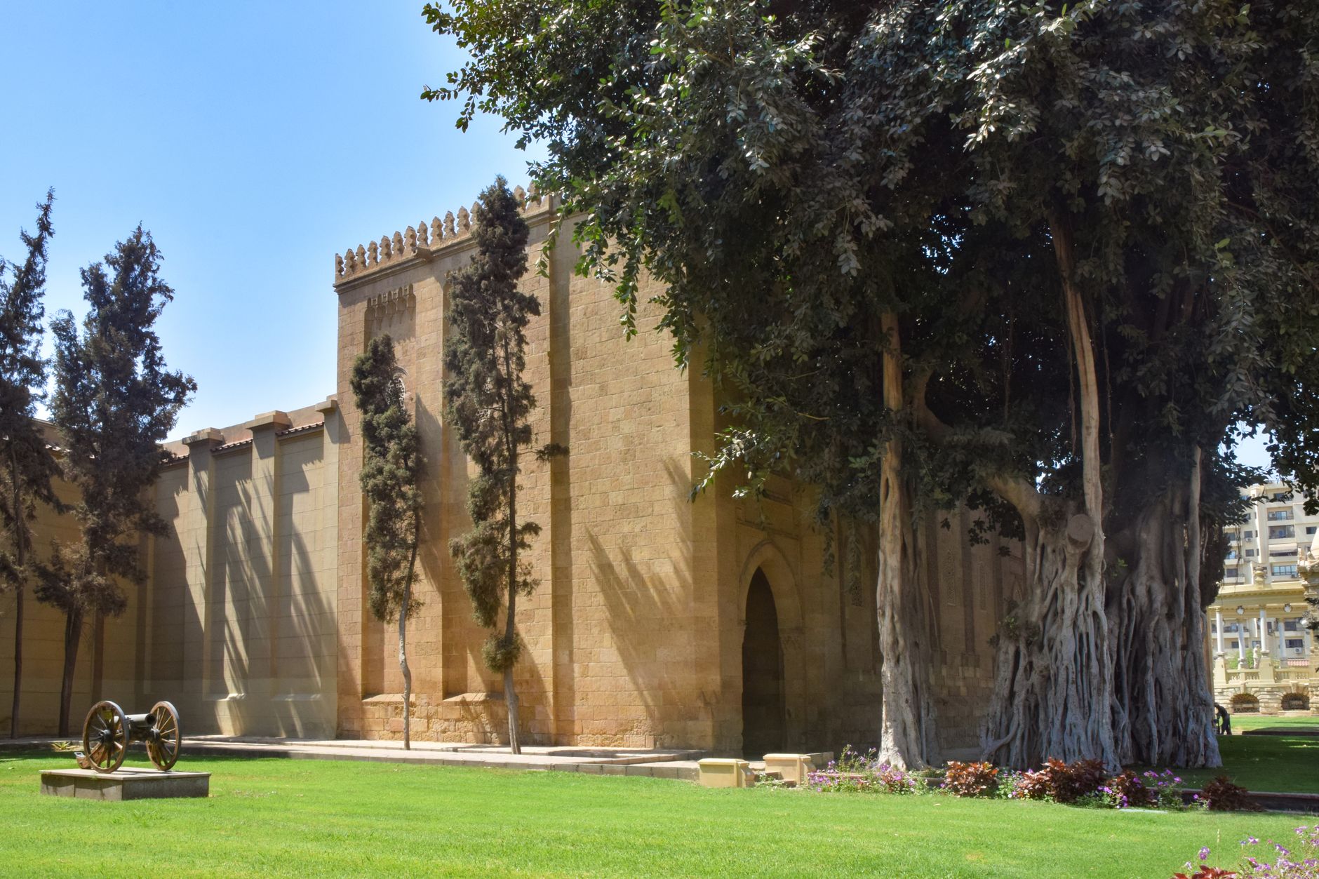 university family day Cairo — A beautiful view of ancient trees and a heritage palace in Cairo, showcasing architectural hist