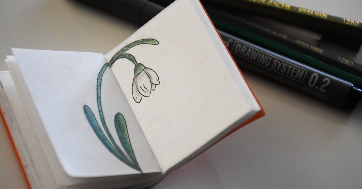 Dessin Botanique : Guide de Création et Méthodes