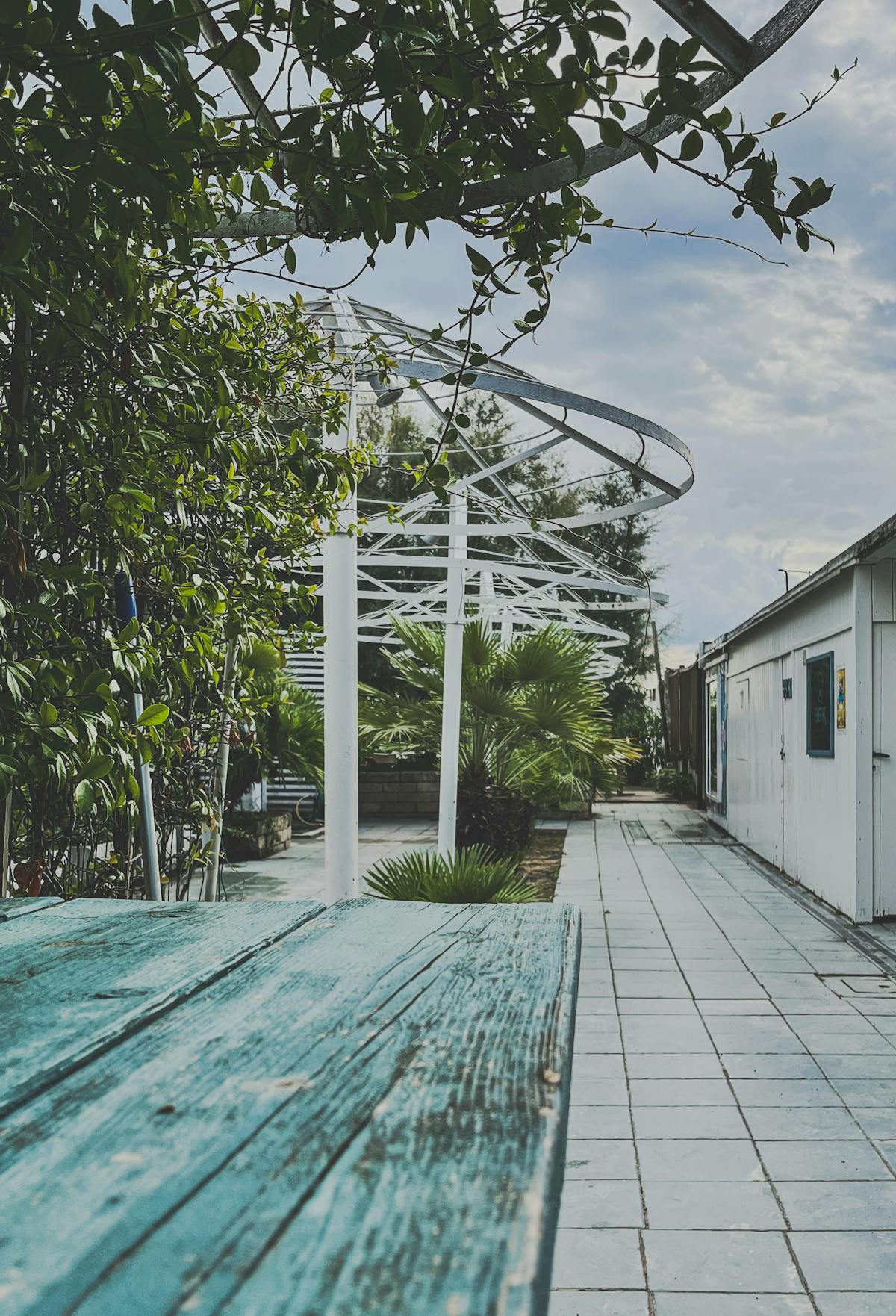 Patio all'aperto con pergola e piante lussureggianti vicino a sedute