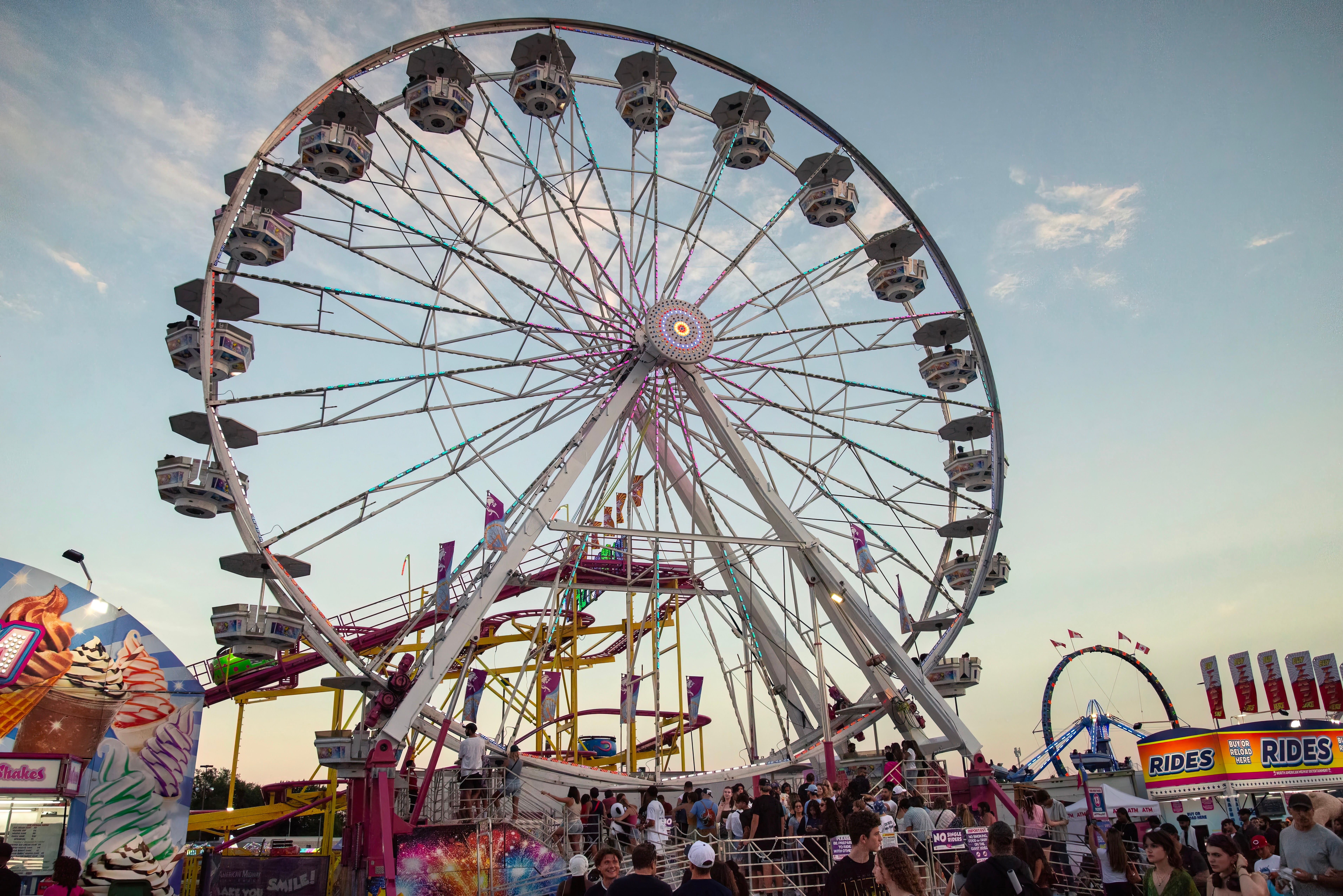 Ferris Wheel in Vibrant Amusement Park Setting · Free Stock Photo