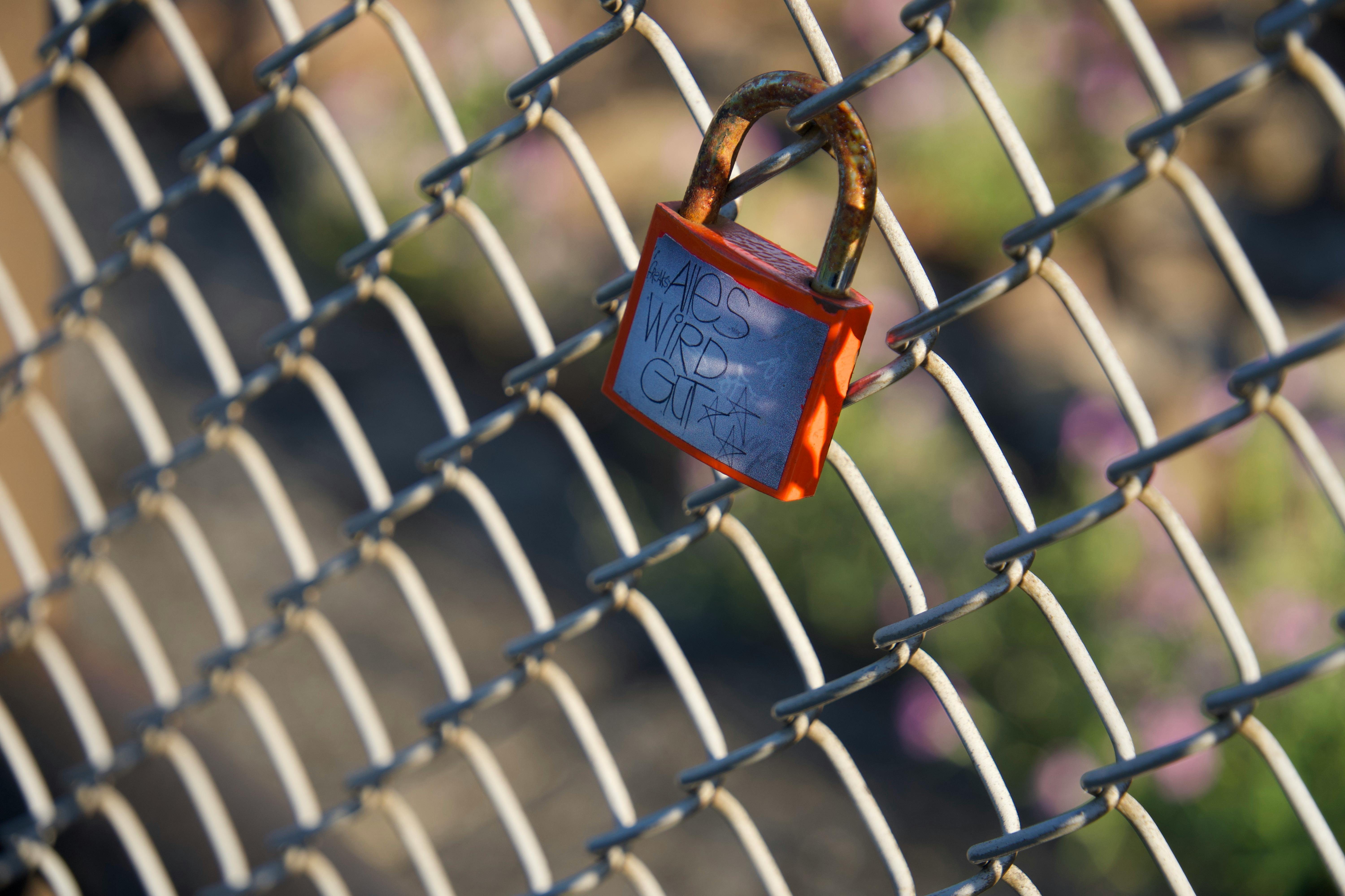 Why Loving Your Problem Is the Key to Smarter Pharma Process Optimization — Photo by Vinay Reddy Sama on Pexels