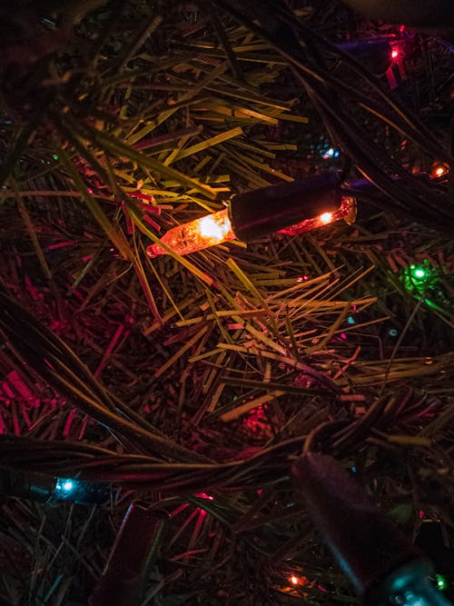 Free Illuminated Christmas Lights Stock Photo