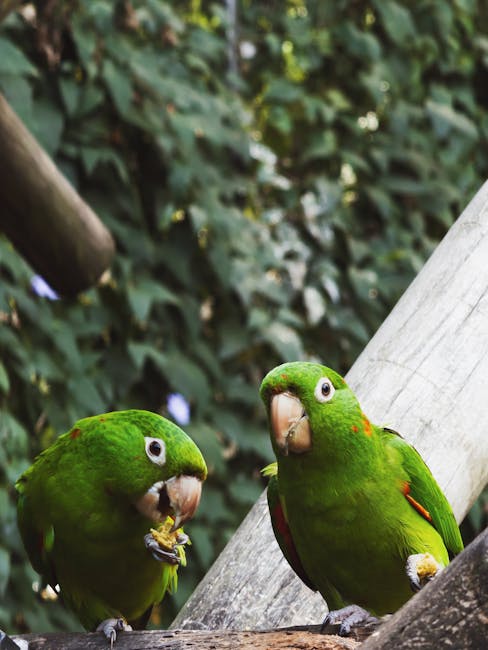 A Birdwatcher's Paradise A Birdwatcher's Paradise