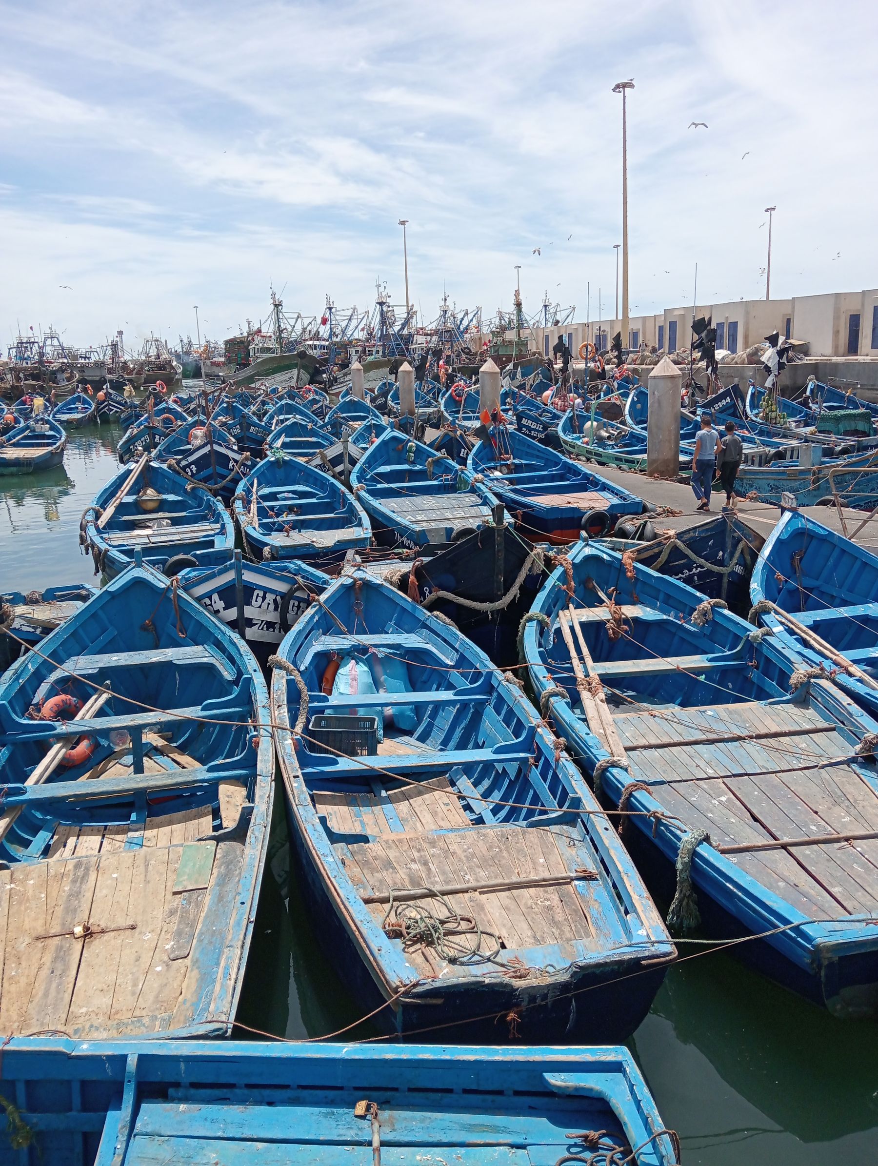 Blue fishing boats in Essaouira harbor — Morocco
