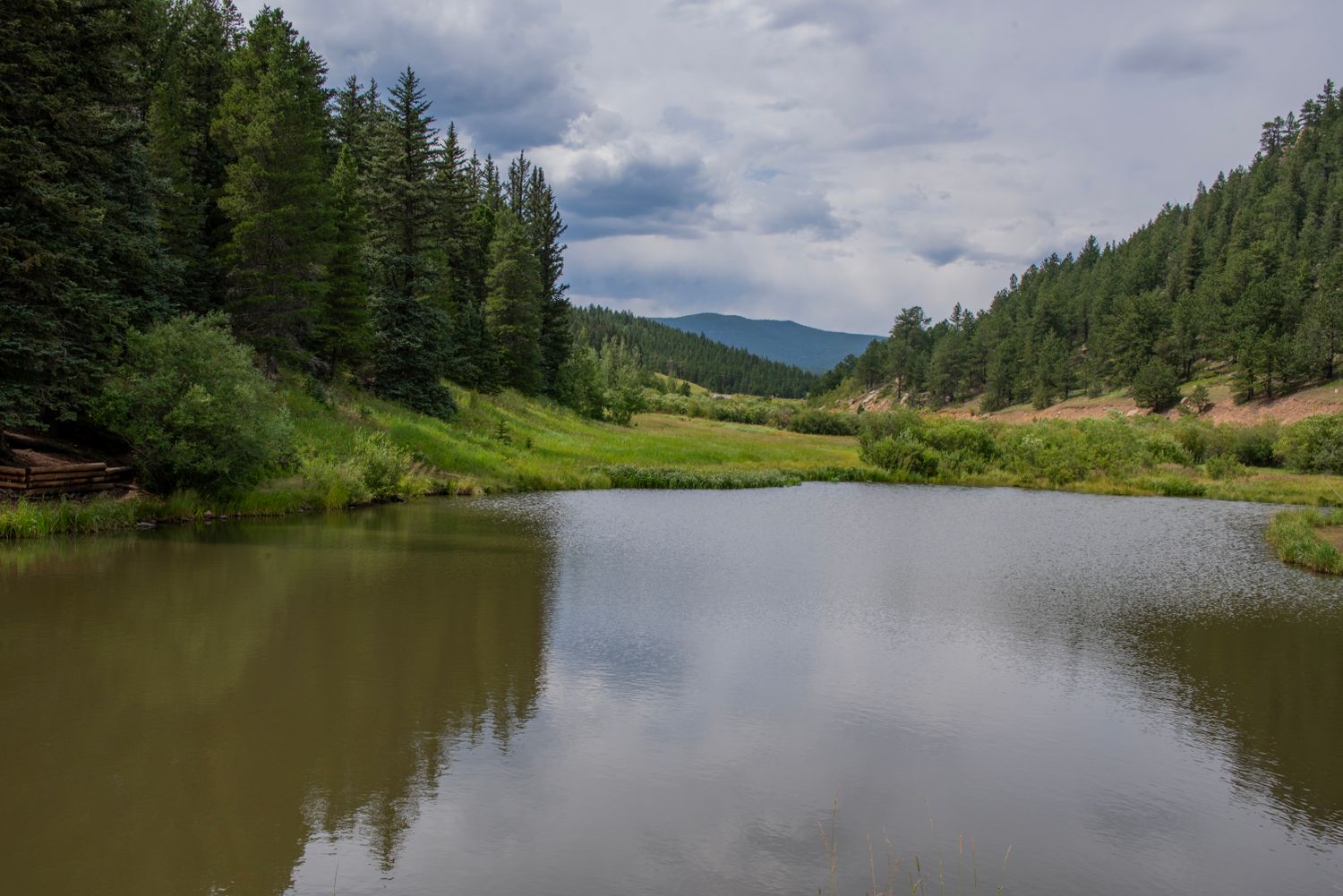 Seasonal wildlife pond