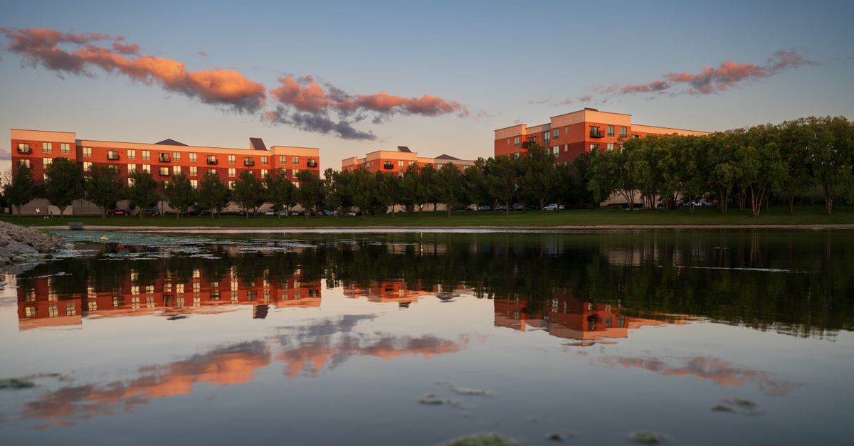 Peaceful sunset reflecting over a calm lake with urban buildings and lush trees.