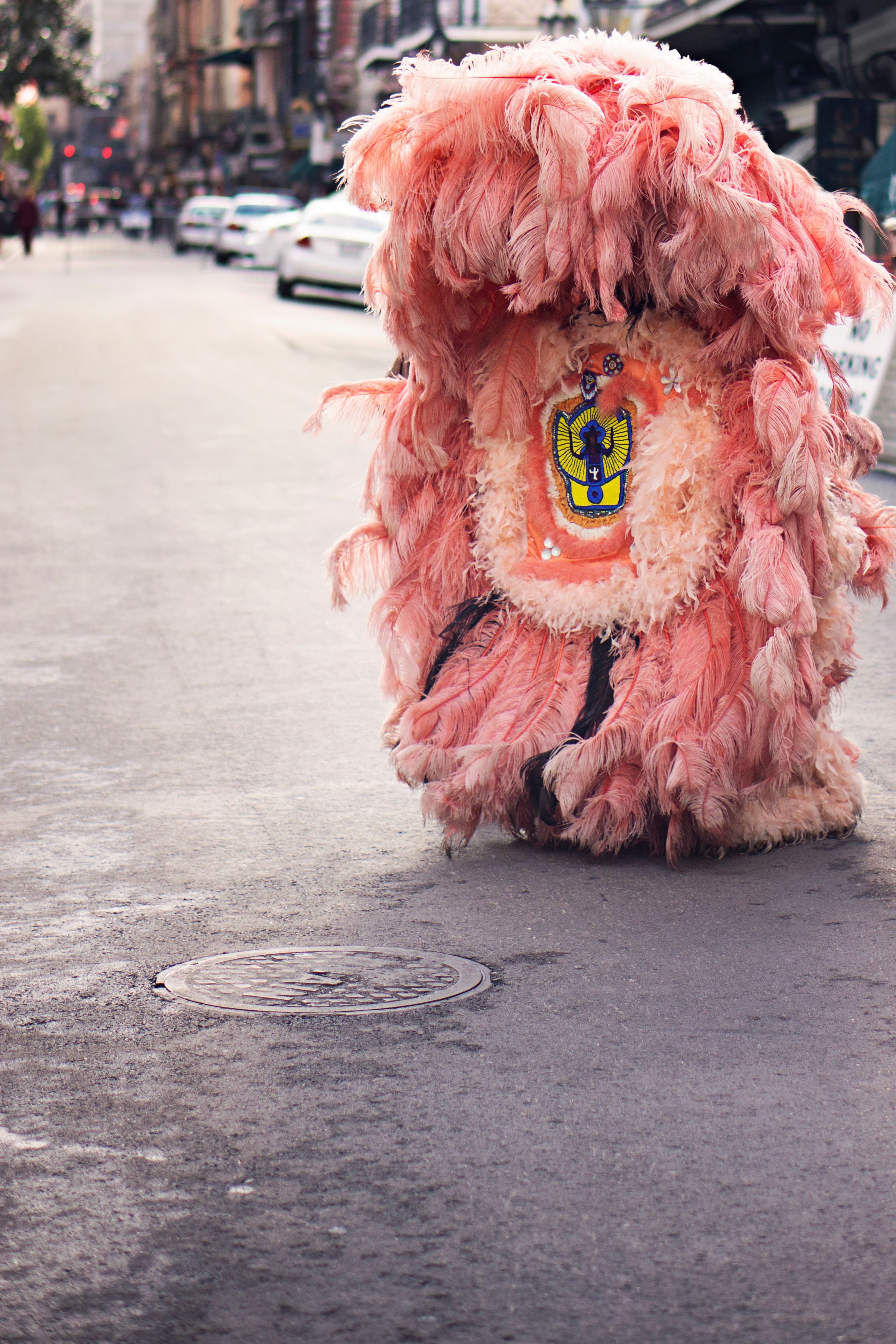 Kostenloses Foto Zum Thema Karneval Kost m Pink