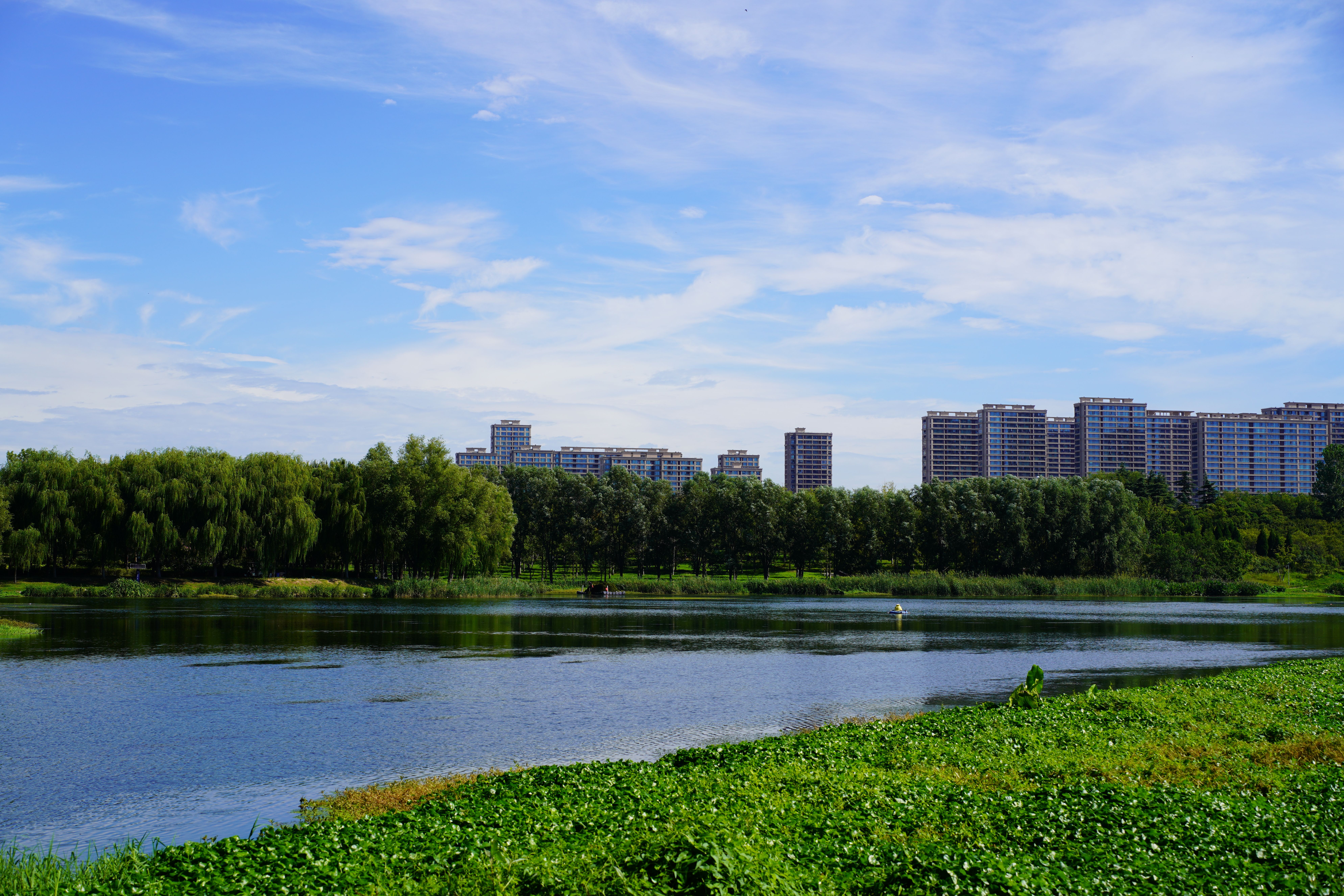 Scenic Urban Park with Lake and Skyline View · Free Stock Photo