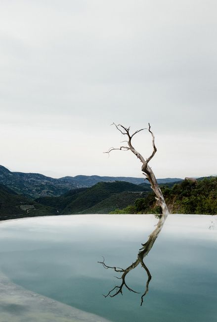 A serene view of a dry tree reflected in the water at Hierve el Agua, Oaxaca, Mexico.