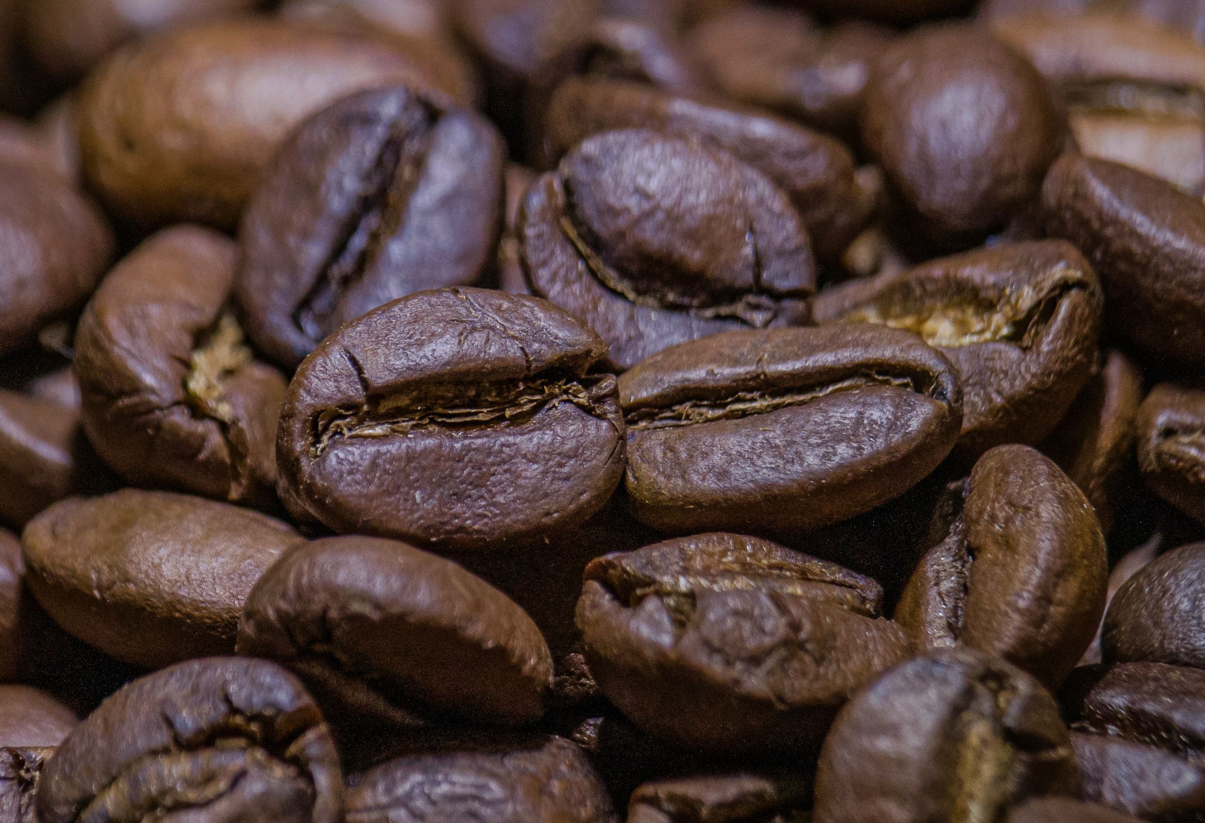 Macro Shot of Coffee Beans in Gooty, India · Free Stock Photo