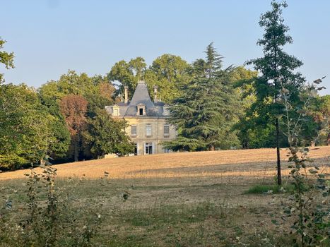 A beautiful French chateau nestled among vibrant trees on a sunny day, displaying classic architecture.