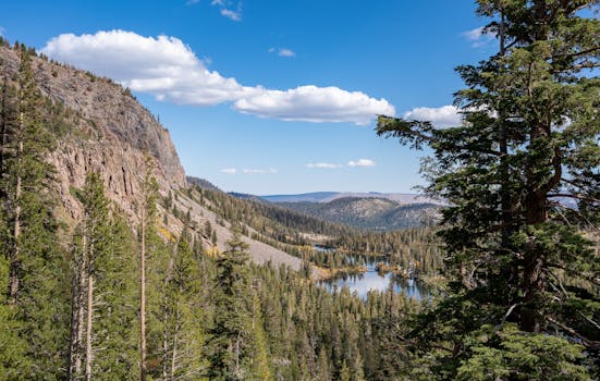 Mammoth Lakes, United States photo 8