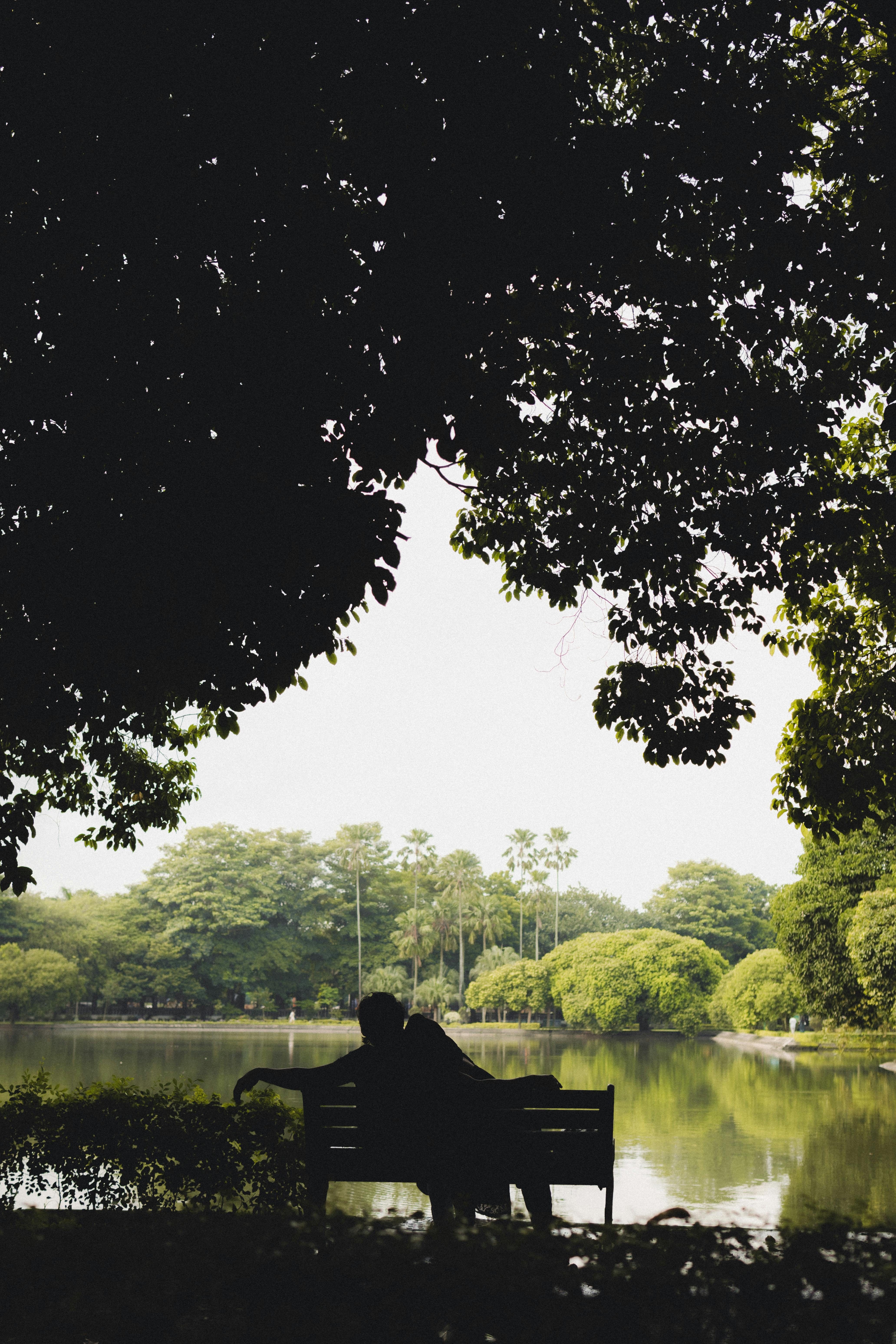 Silhouette of a person relaxing on a bench by a tranquil lakeside under trees.