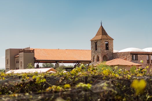 Marthas Vineyard, United States photo 10