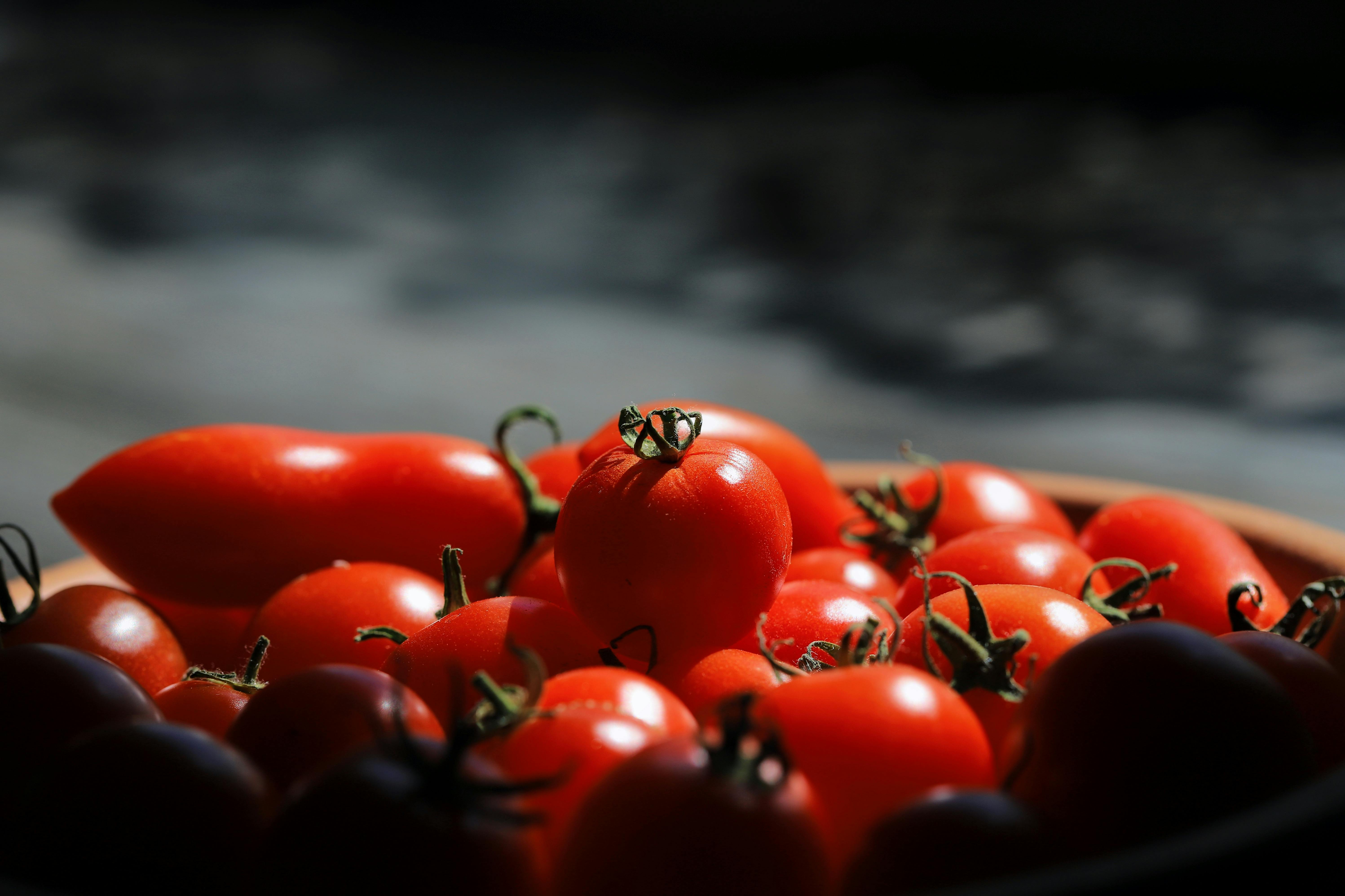Rotten Tomatoes Awards: Best Movies &amp; TV Winners 2025 — Photo by Christina & Peter on Pexels
