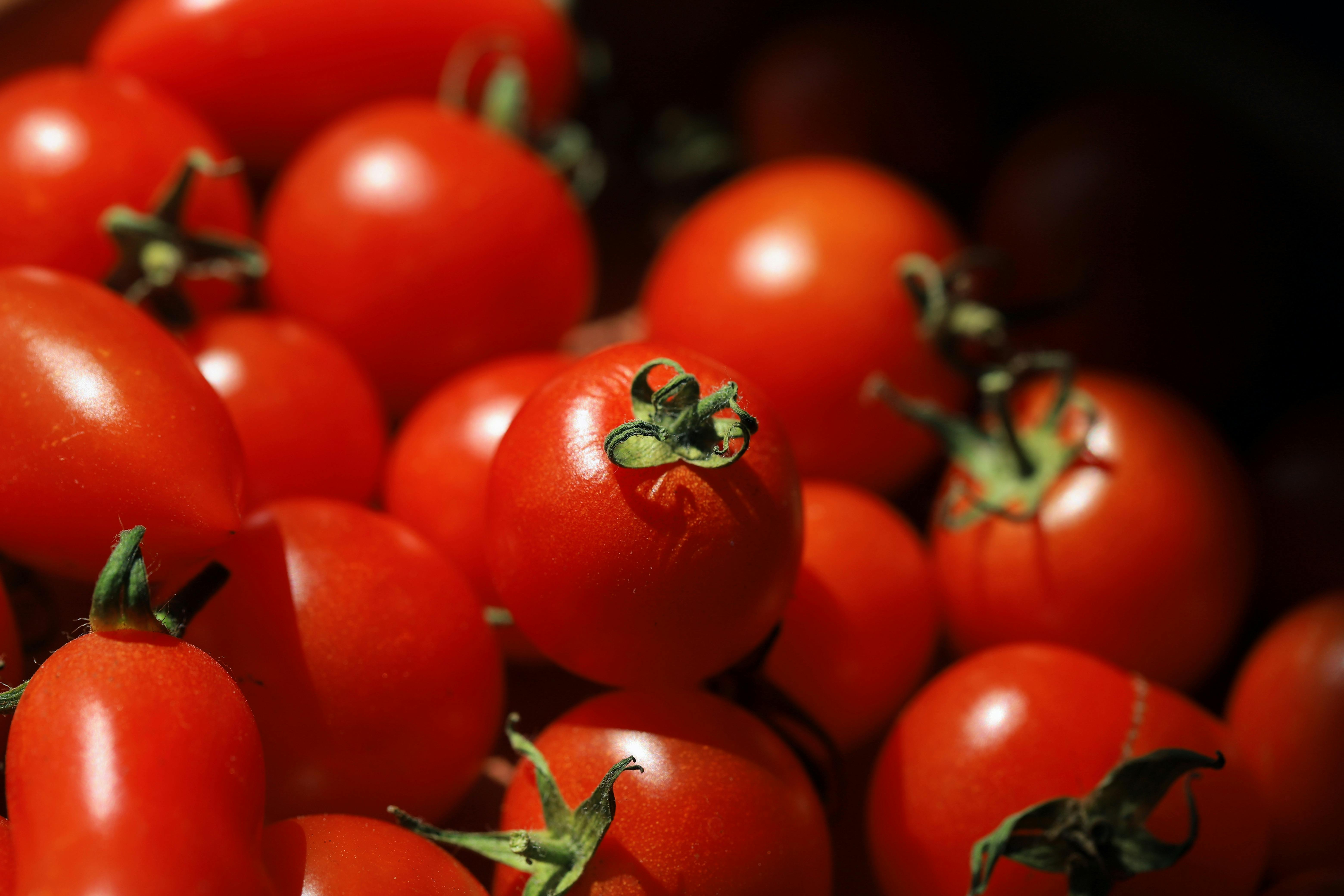 Rotten Tomatoes: Movies | TV Shows | Movie Trailers | Reviews — Photo by Christina & Peter on Pexels