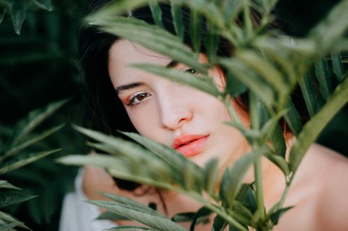 Free Close-up portrait of a woman looking through lush green plants outdoors. Stock Photo