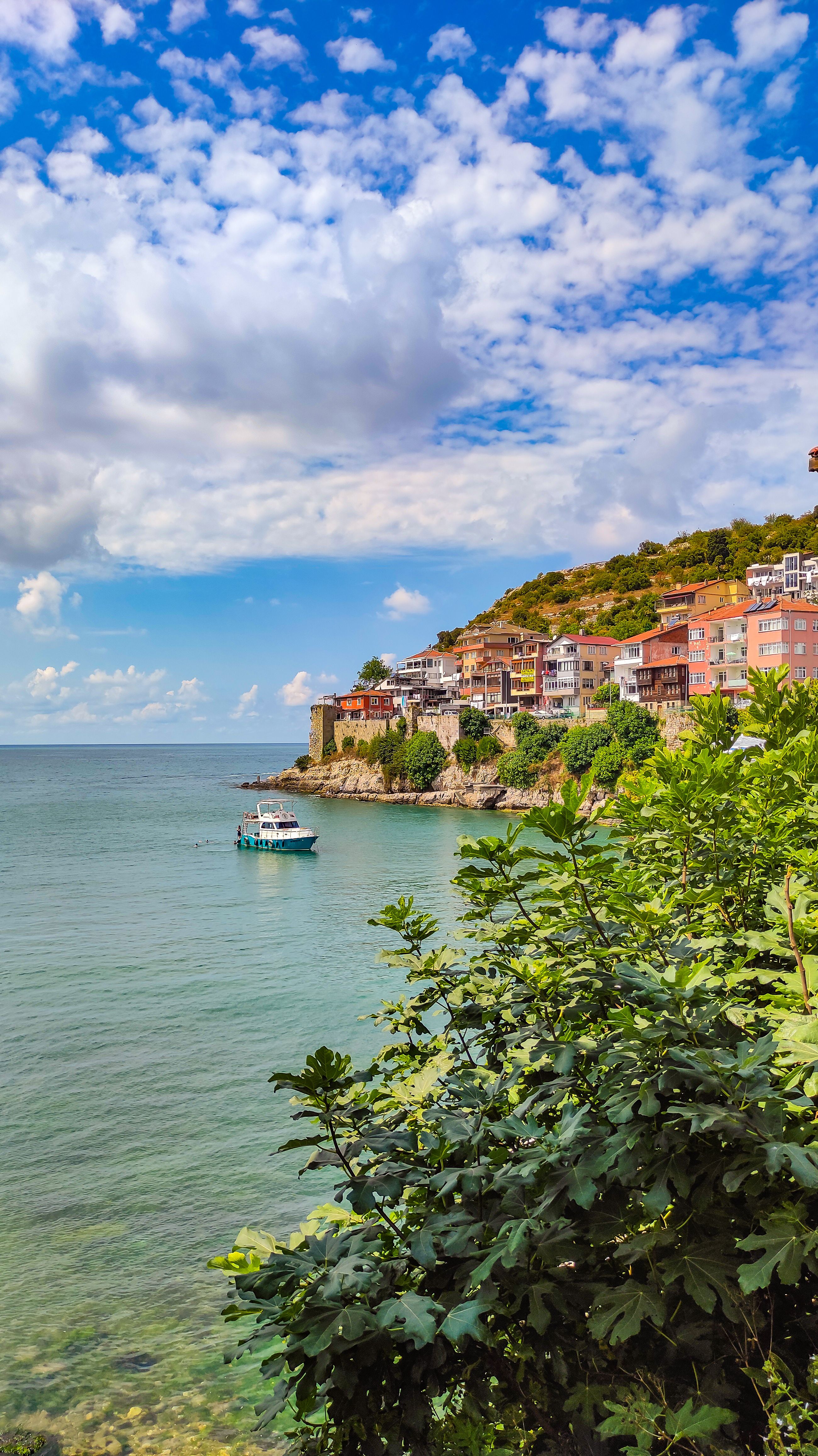 Picturesque view of Amasra's coastline with vibrant sea and lush greenery under a bright sky.