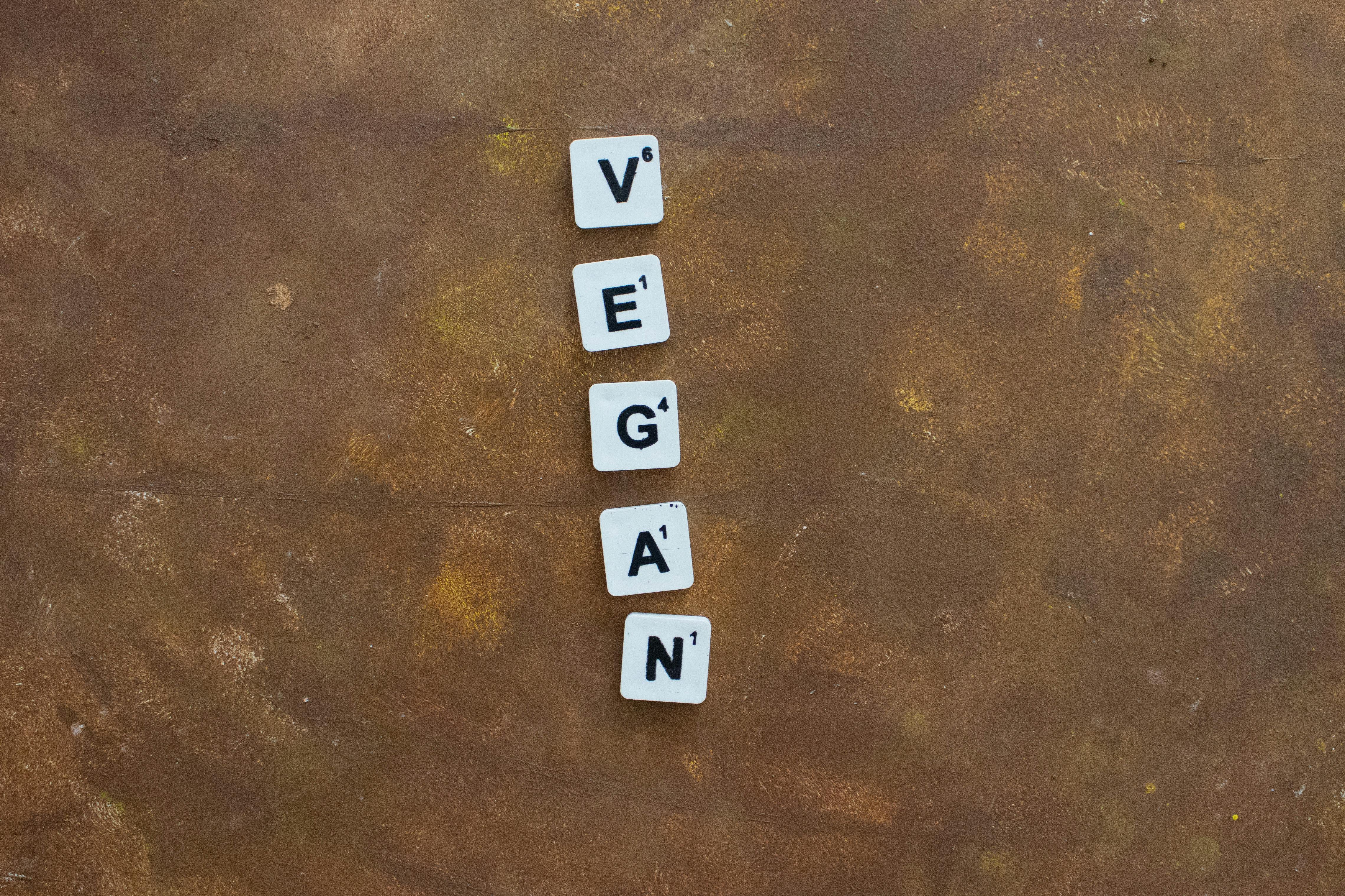 七夕浪漫共享綠生活 新北惜食餐廳邀你共饗環保美味