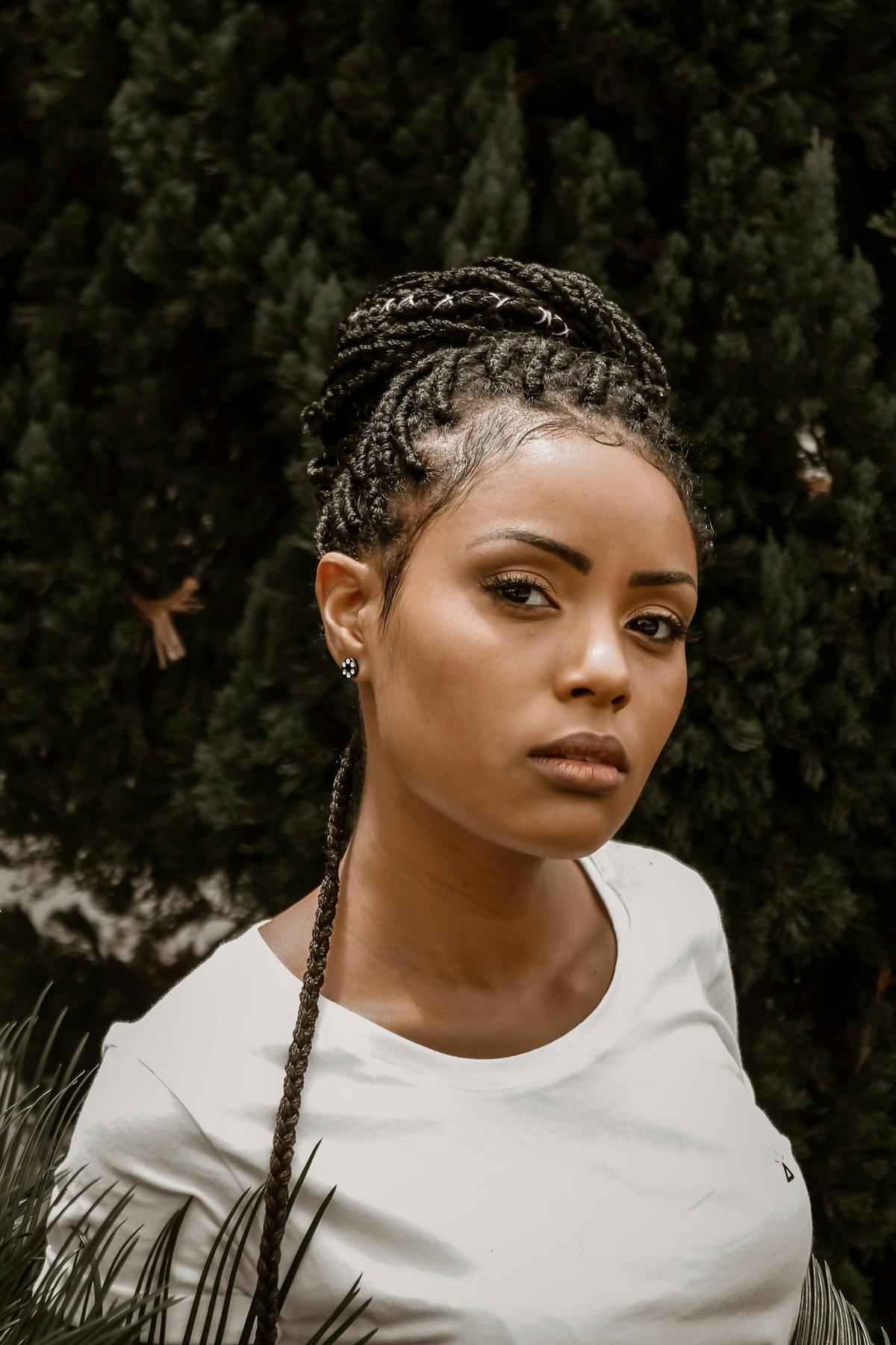 Ebony Photos, Download The BEST Free Ebony Stock Photos & HD Images