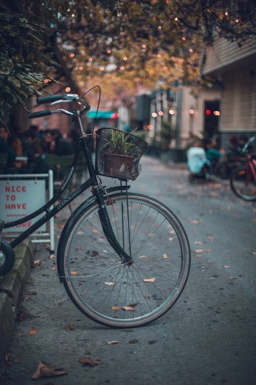Stylish bicycle with basket of green plant parked on sidewalk near narrow street in city on autumn day