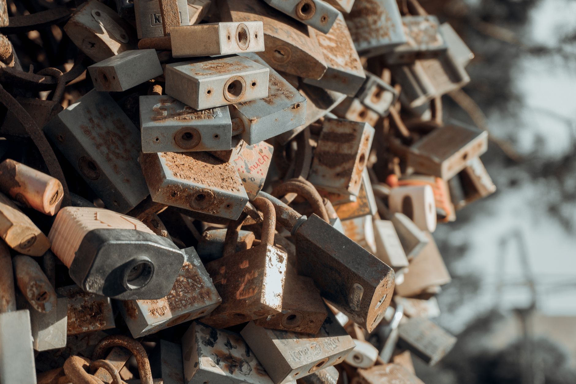 A close-up of numerous rusty padlocks clustered together outdoors, symbolizing security and abandonment.