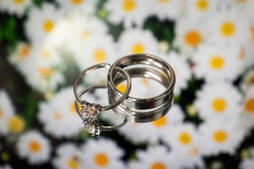 Free Close-up of silver wedding rings displayed with daisies for a romantic touch. Stock Photo