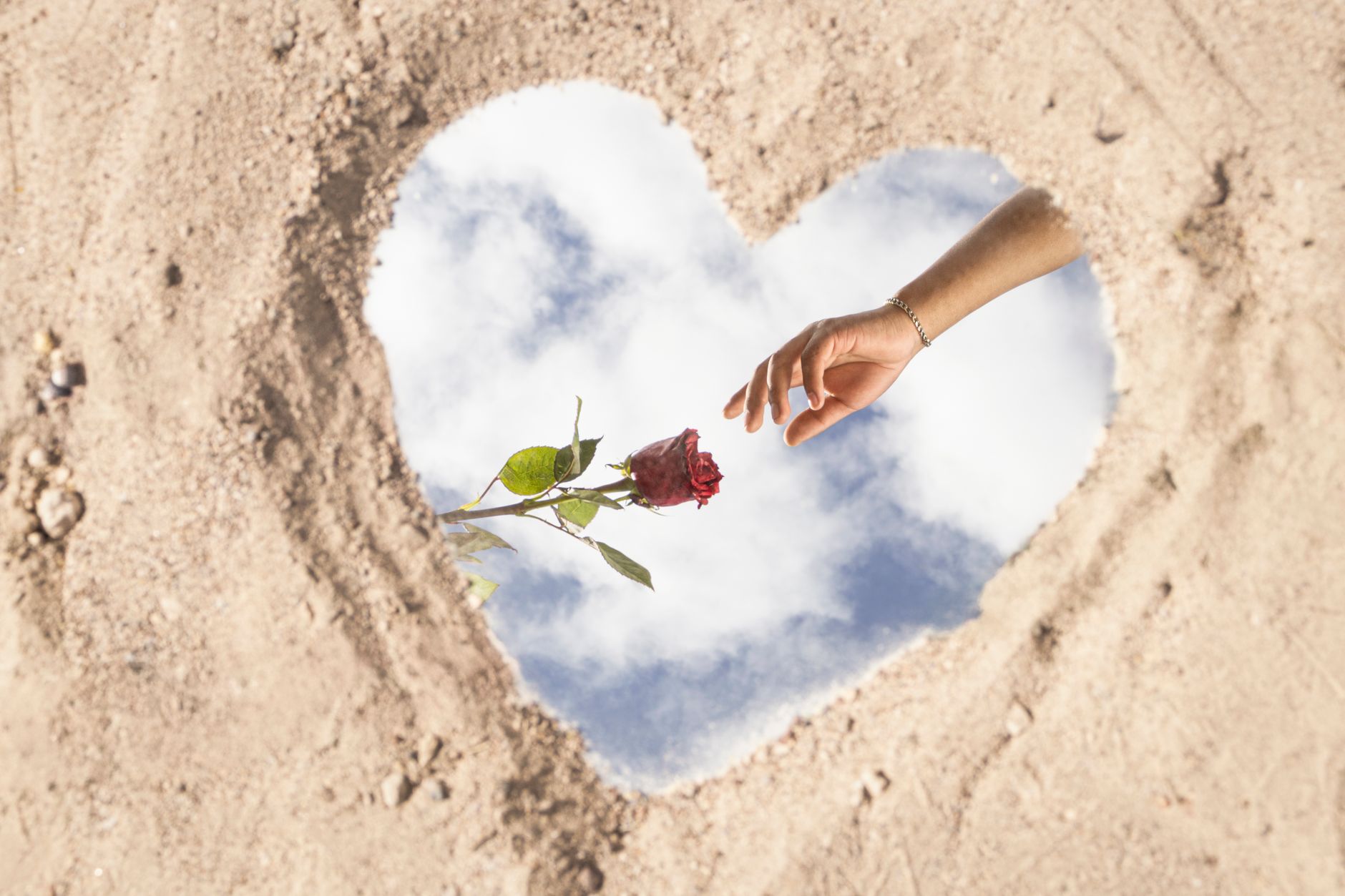 La Práctica del Amor Fati: Análisis de Datos sobre Cómo Amar el Destino Fortalece la Resiliencia