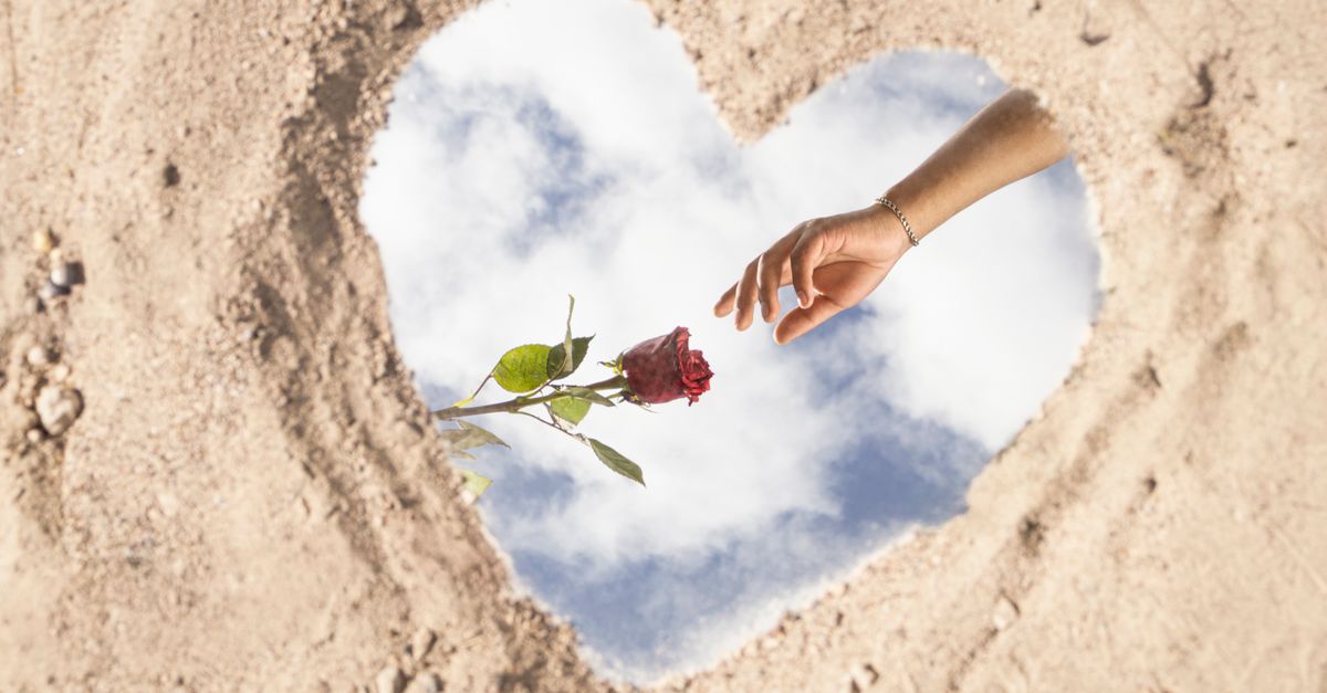 Can You Do Wedding Flowers on a $1000 Budget? — Arizona Wedding Videography