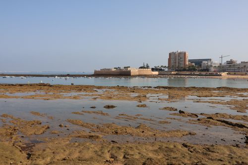 Free Scenic view of Cádiz coastal landscape, featuring a historic fortress and modern cityscape under clear skies. Stock Photo