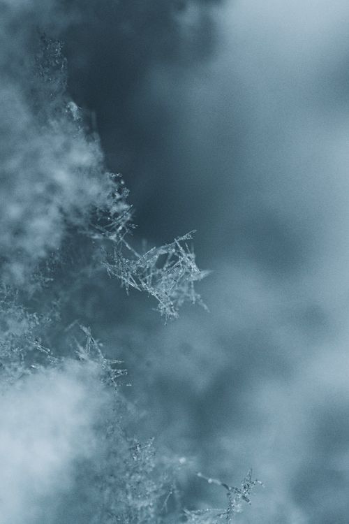Free Delicate snowflake captured in a winter scene, showcasing the intricate beauty of frost and ice. Stock Photo