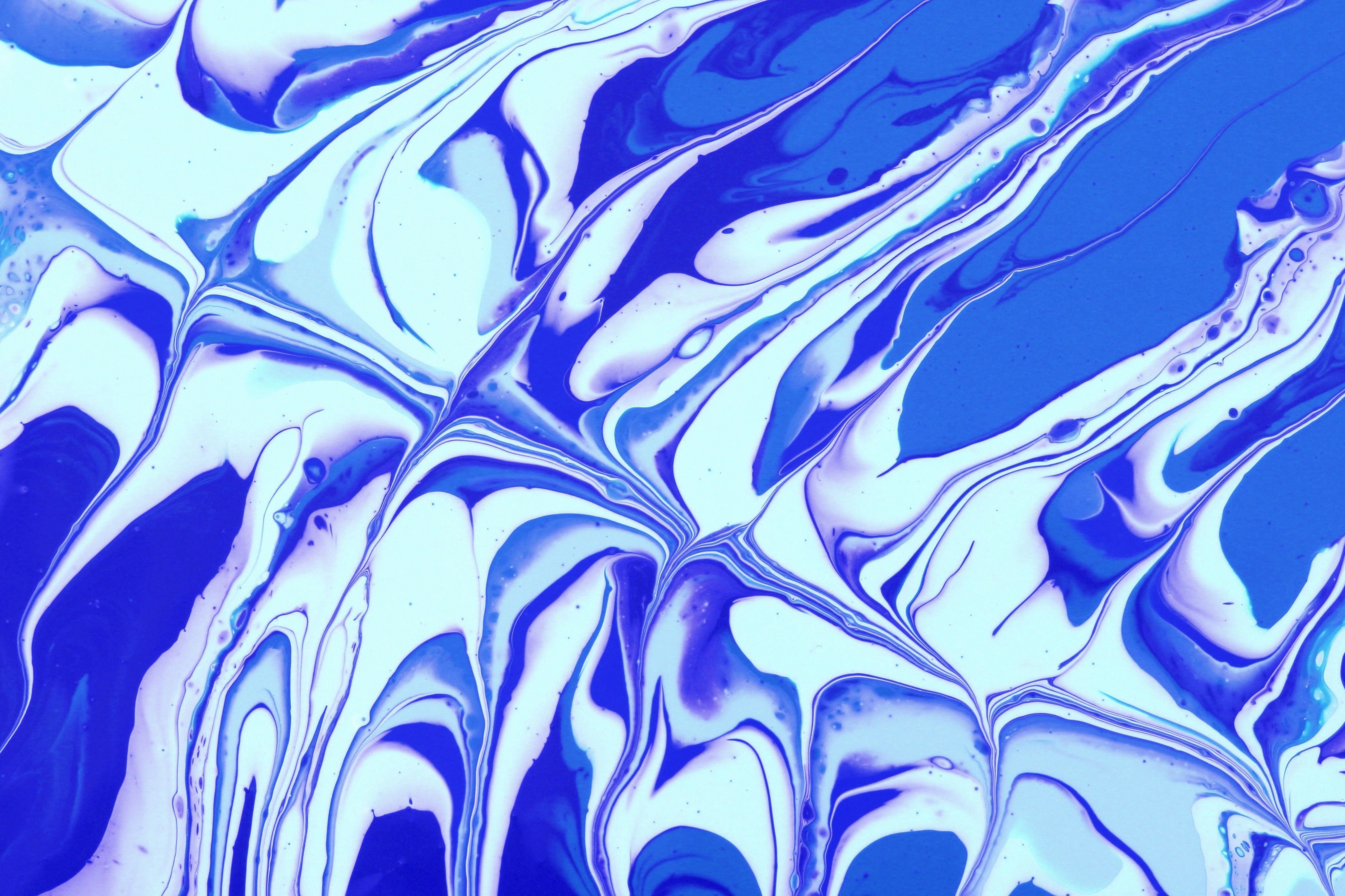 Abstract Blue and White Fluid Art Painting · Free Stock Photo