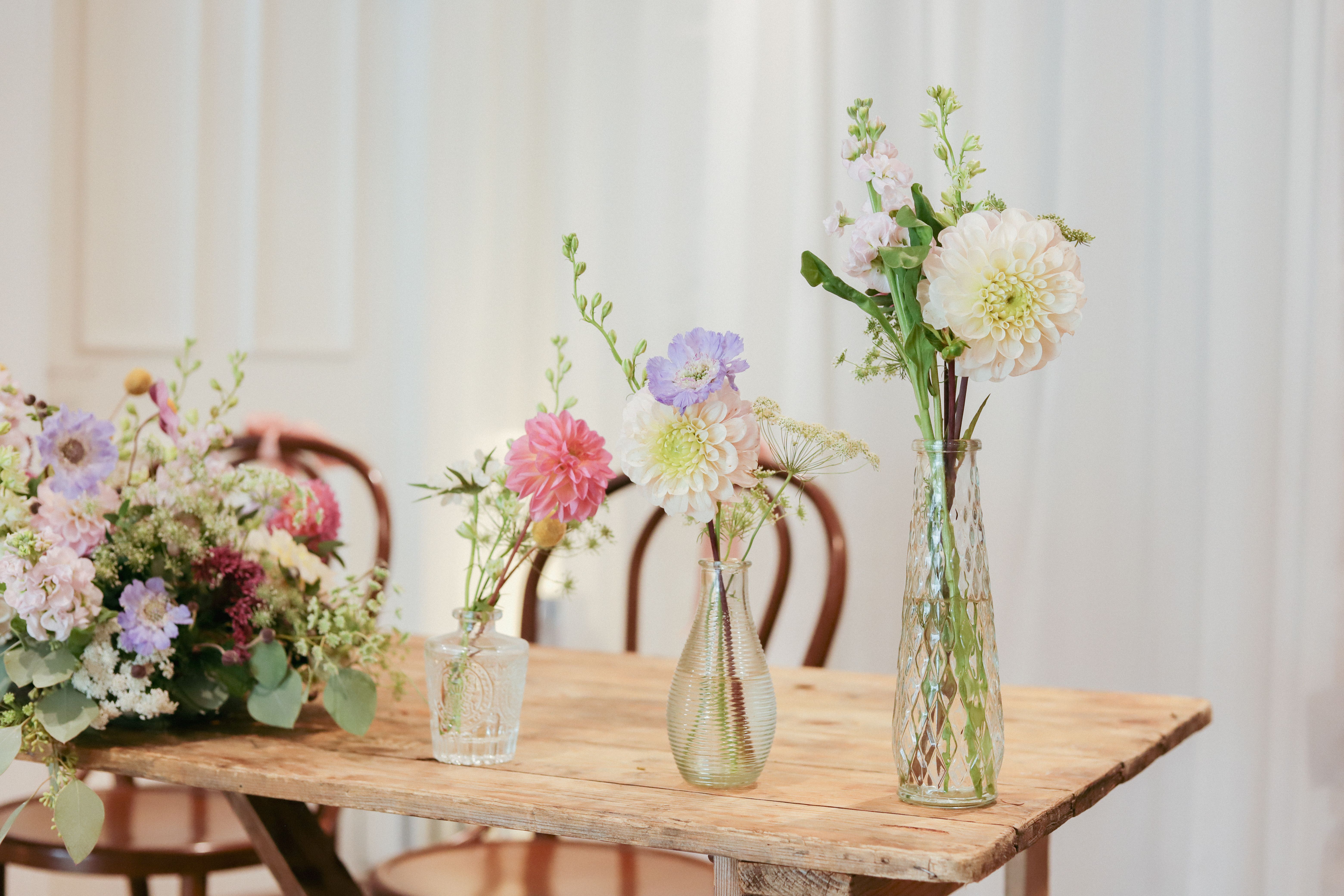 Free stock photo of aesthetic flowers, cut flowers, late summer