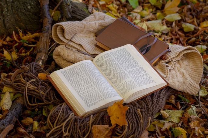 An open book resting on knitwear among autumn leaves, photo by olga Volkovitskaia on Pexels