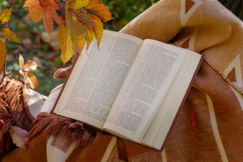 Free Open book on a blanket surrounded by autumn leaves for a cozy seasonal reading vibe. Stock Photo