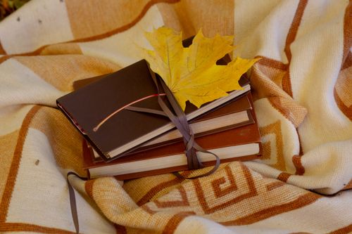Free Autumn still life with books, a maple leaf, and a cozy blanket. Stock Photo