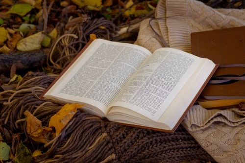 Free Open book on cozy knitted sweater surrounded by autumn leaves, perfect for seasonal reading vibes. Stock Photo