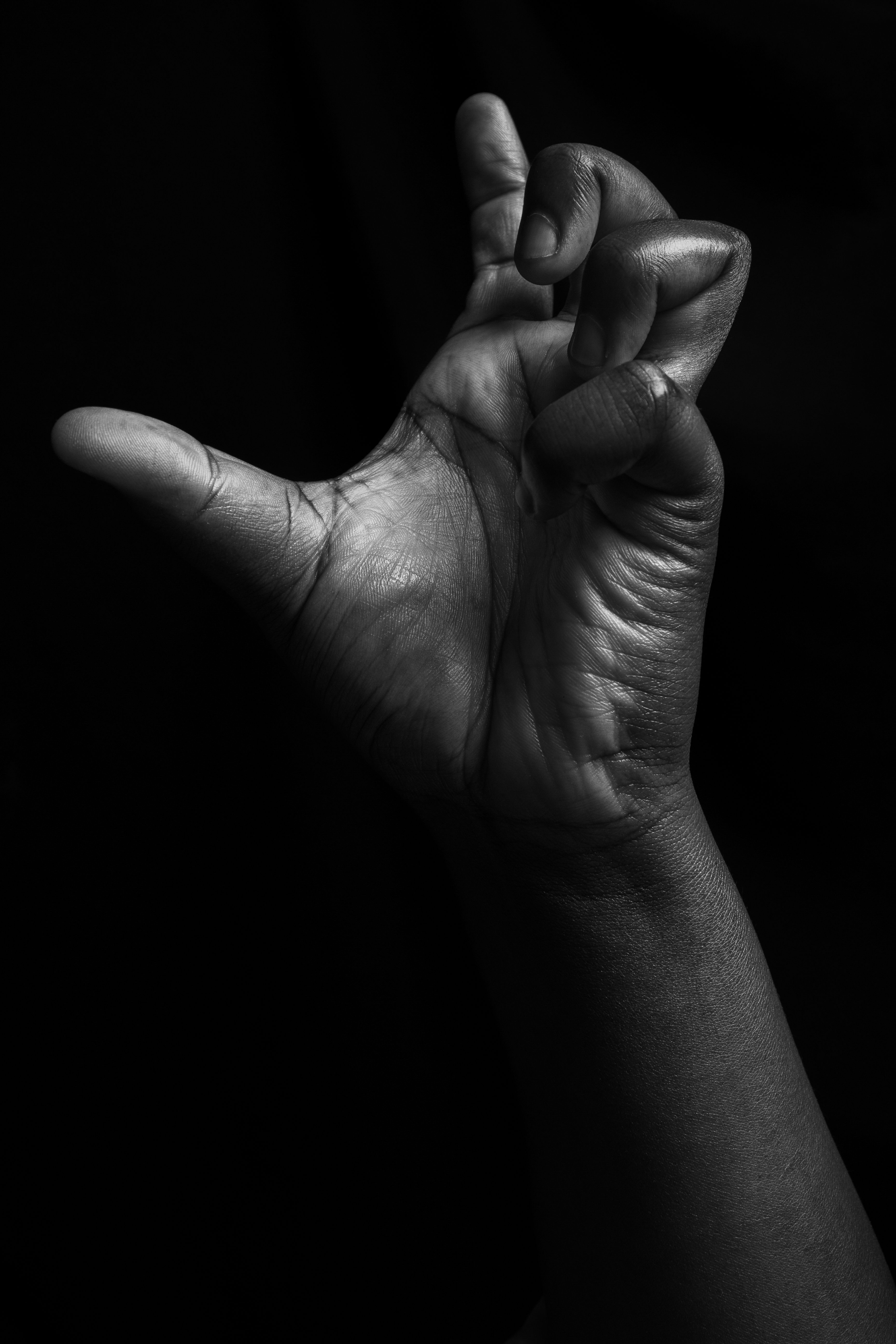 Potrait Of Hand Photos, Download The BEST Free Potrait Of Hand Stock ...