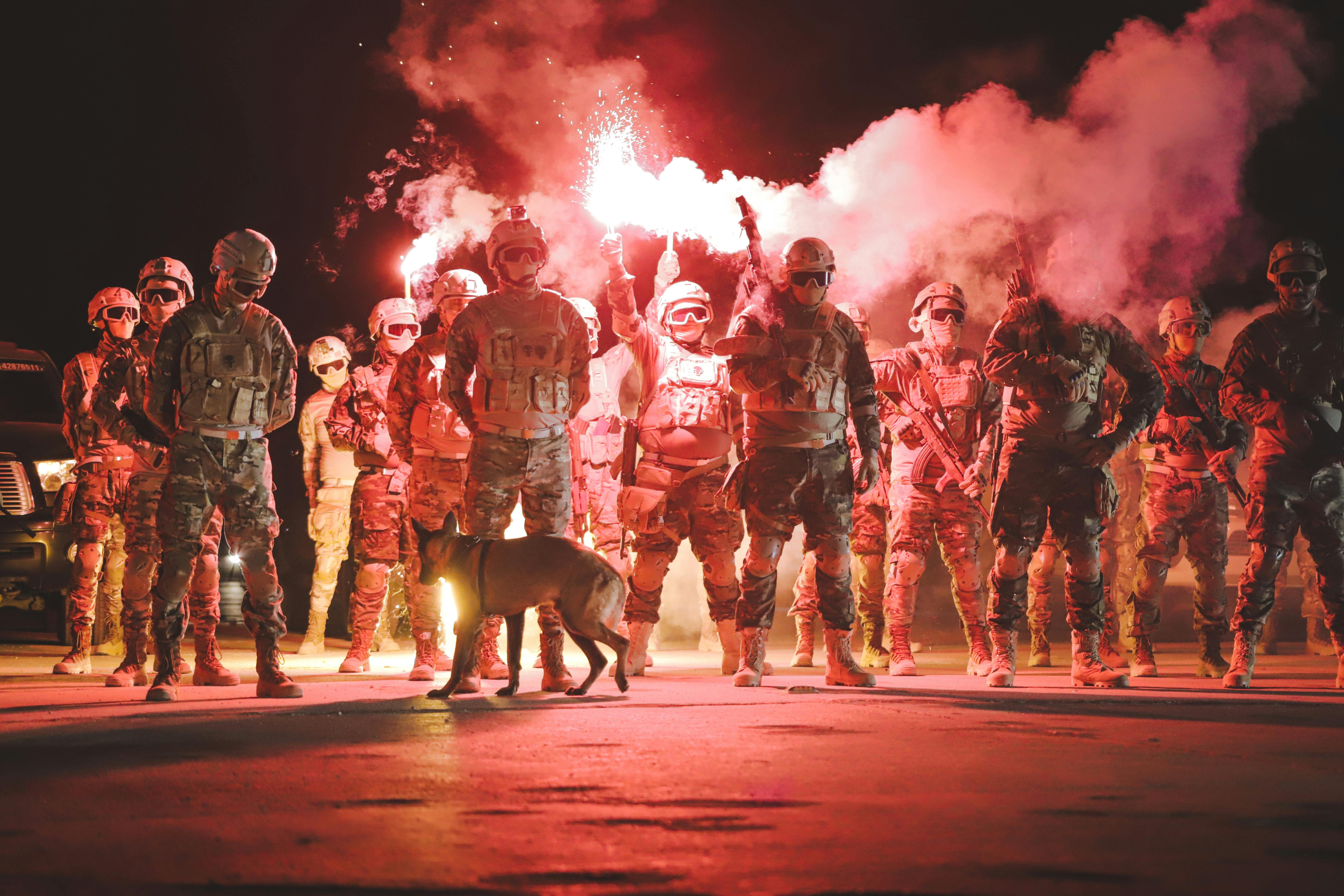 Dogs In Warfare Photos Download The BEST Free Dogs In Warfare Stock