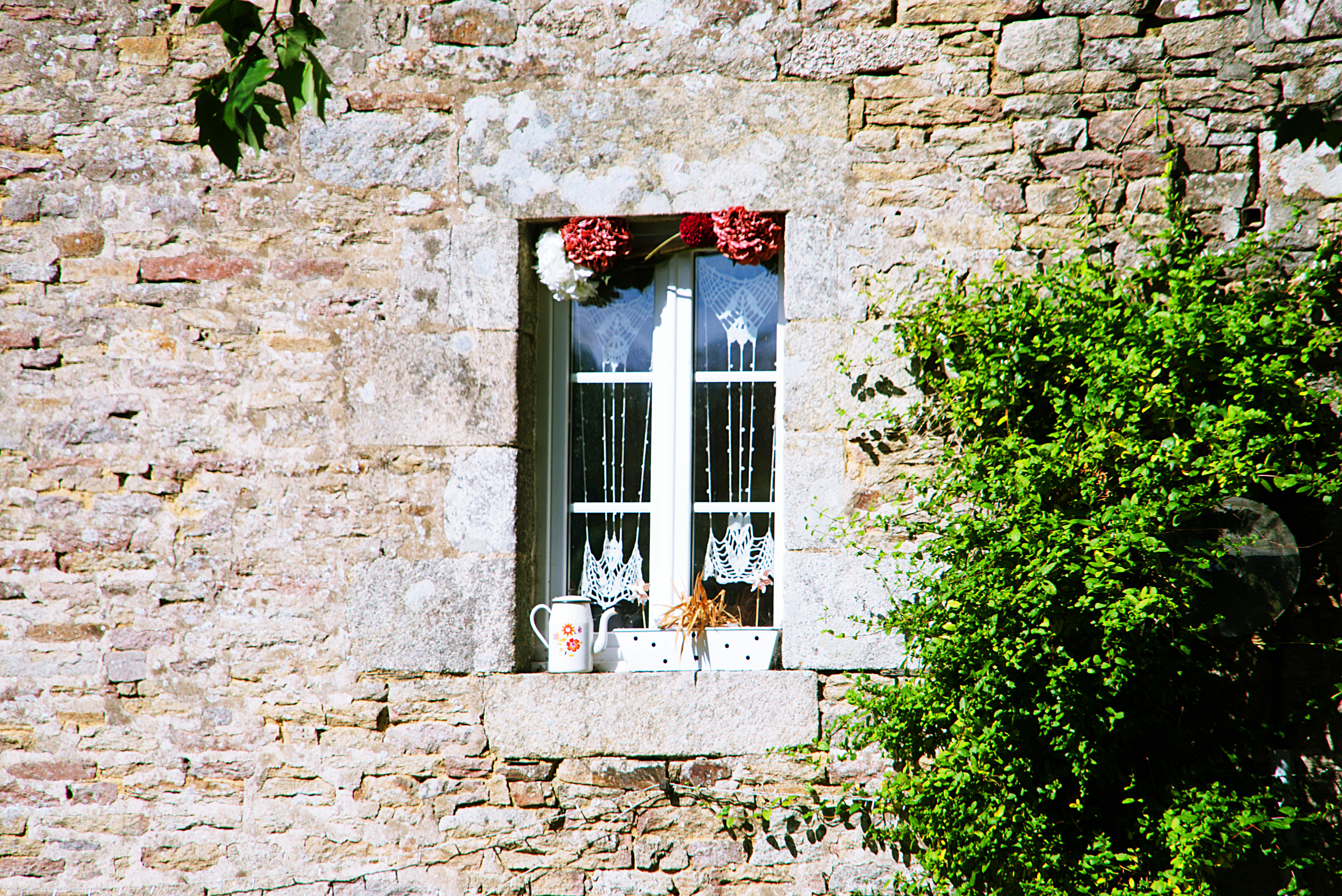Charmante fenêtre rustique avec rideaux décoratifs en dentelle dans un mur en pierre, accentuée par la verdure.