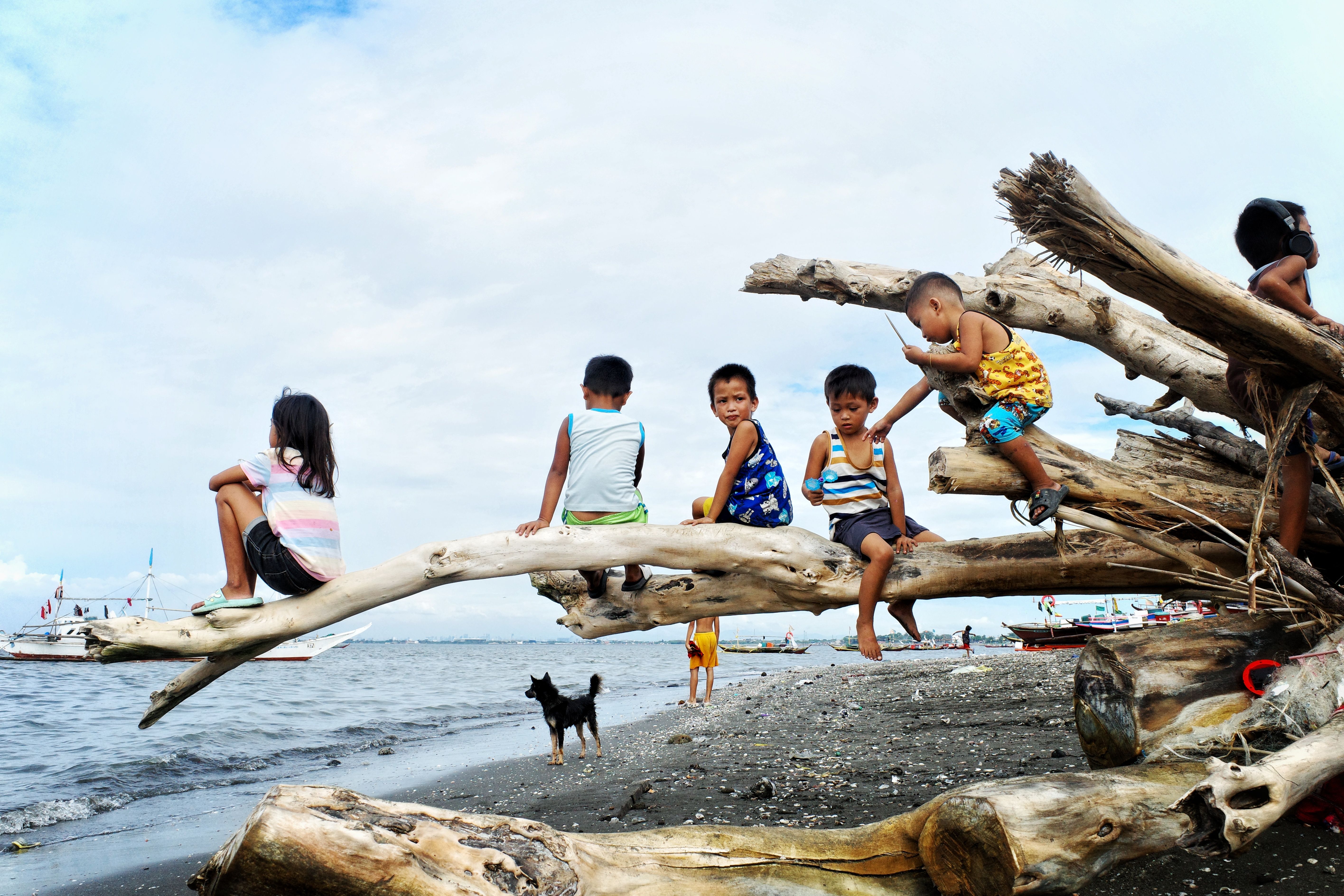 A group of children enjoying playtime on driftwood along a sandy beach with distant boats.