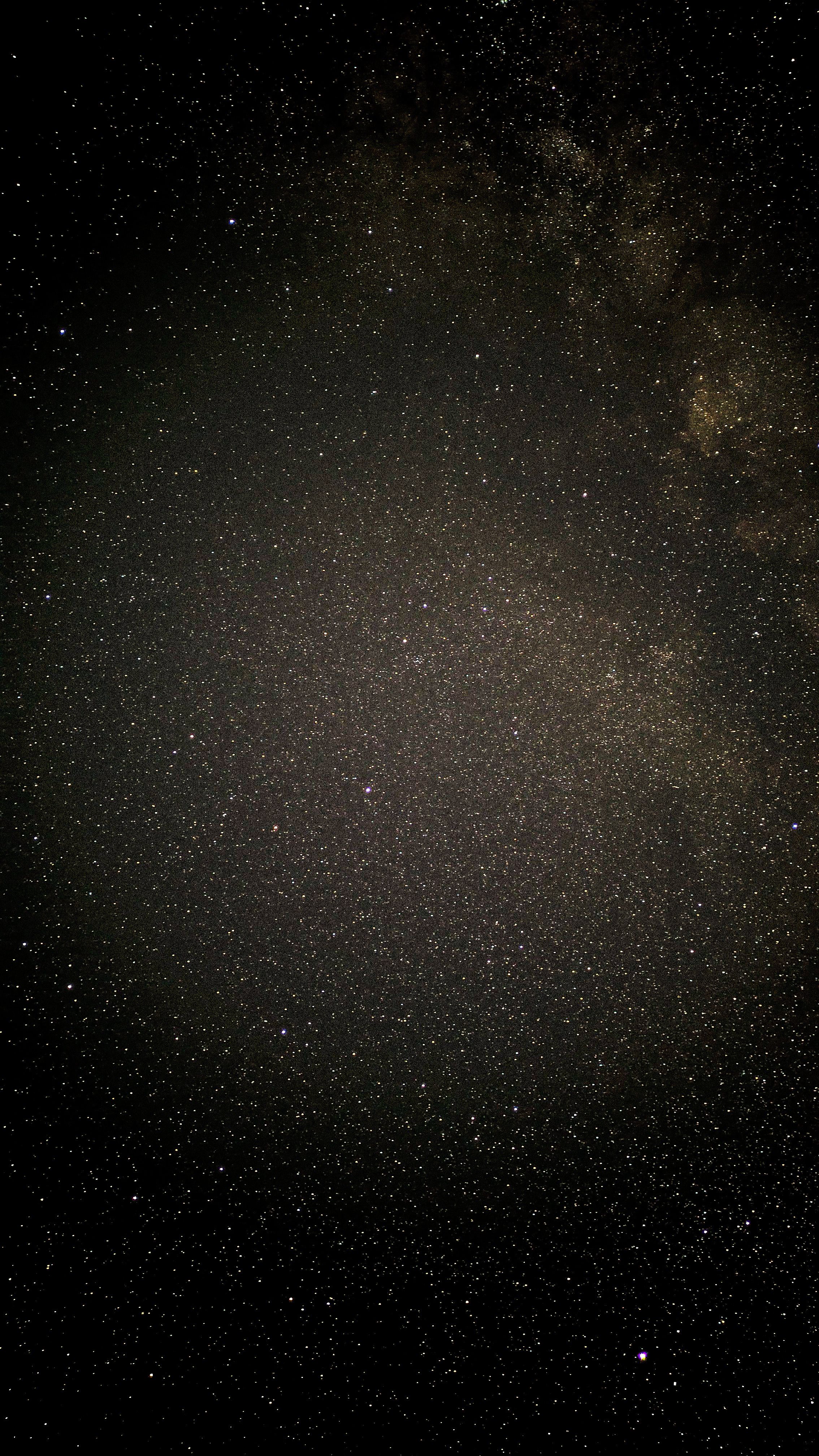 Captivating image of the Milky Way galaxy filled with countless stars against a dark night sky.