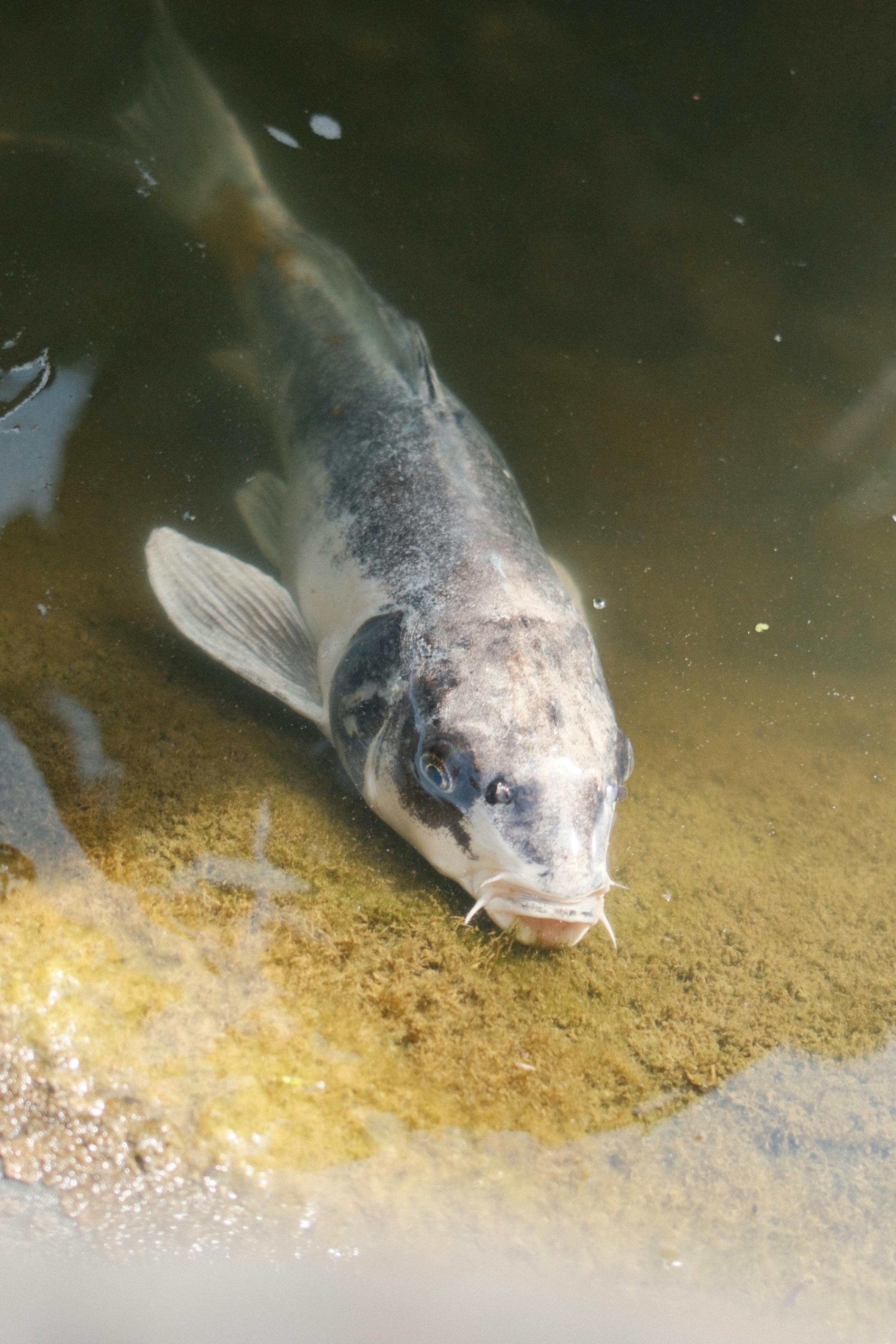 KMI 건강검진 2025년 준비물 완벽 가이드: 이 글 하나로 모든 궁금증 해결!