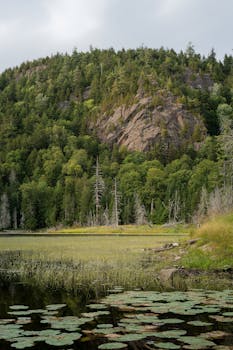 Lush greenery surrounds a tranquil lake beneath a forested hill.